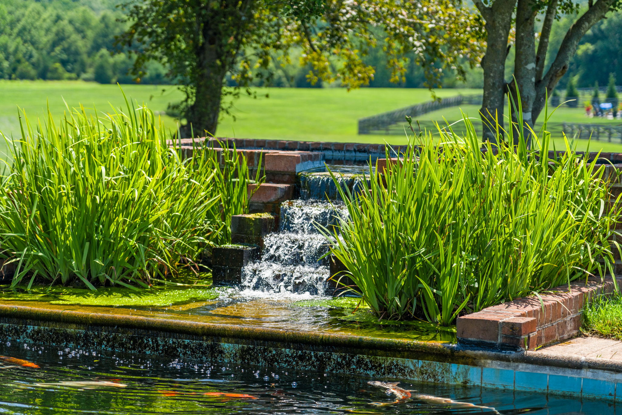  6190 Georgetown Road, Broad Run, VA, 20137 - 物件實景