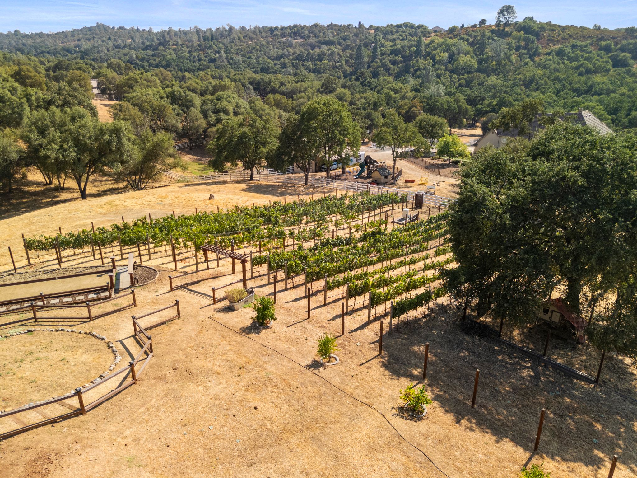  7060 Steeple Chase Drive, Shingle Springs, CA 95682 - 物件實景