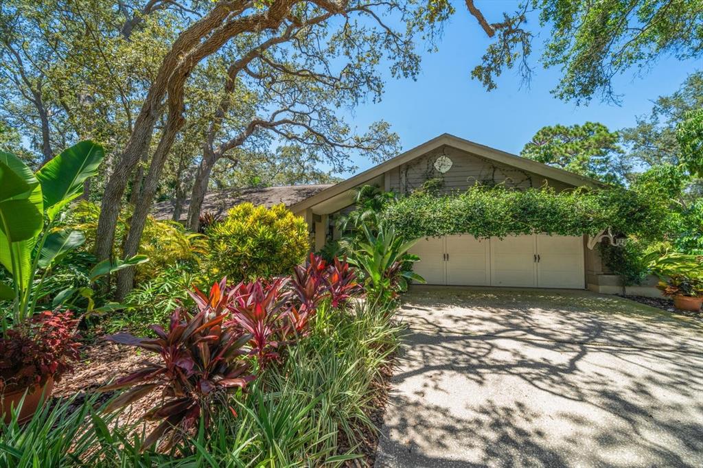 Dunedin, Florida, 34698, United States, 4 Bedrooms Bedrooms, ,3 BathroomsBathrooms,Residential,For Sale,1995790