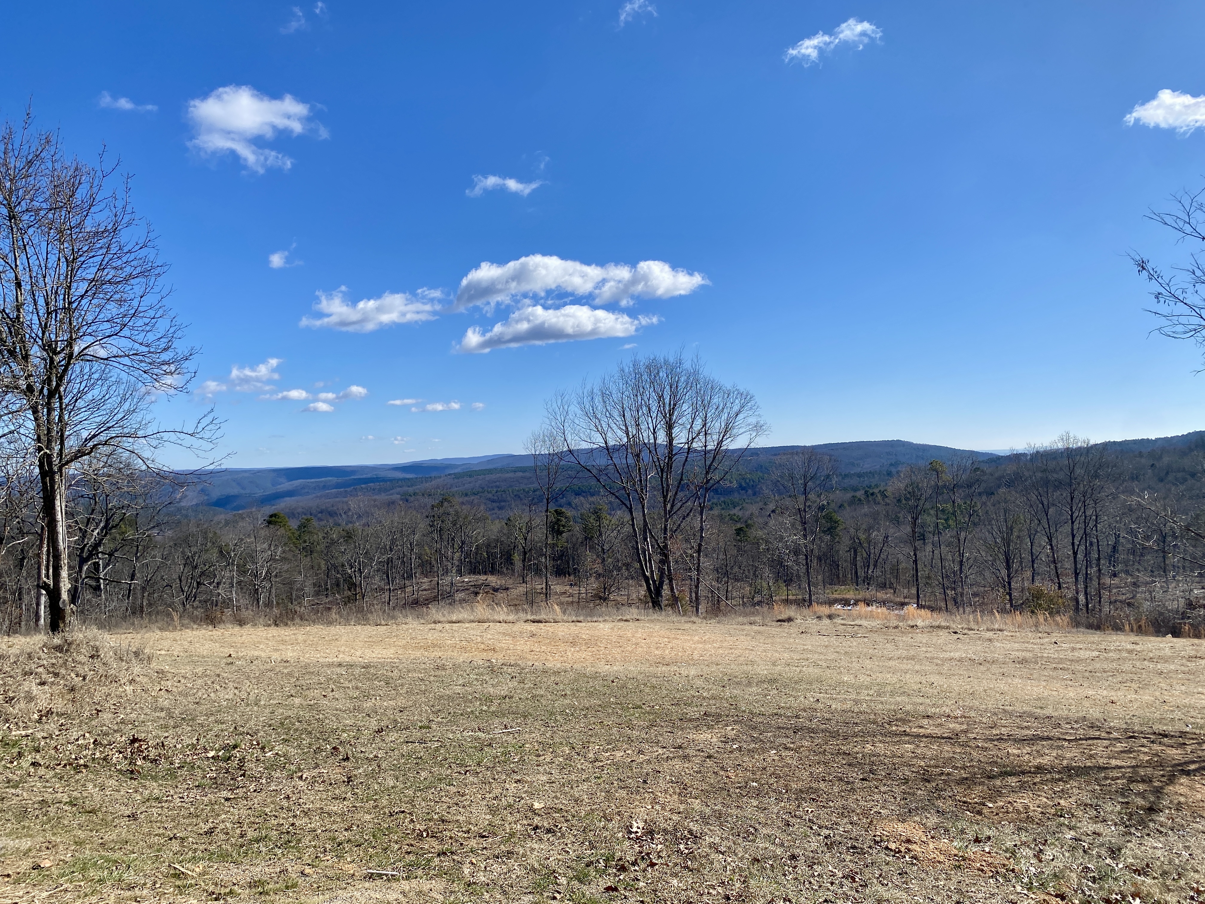 Ozone, Arkansas, 72854, United States, 5 Bedrooms Bedrooms, ,4 BathroomsBathrooms,Residential,For Sale,1943297