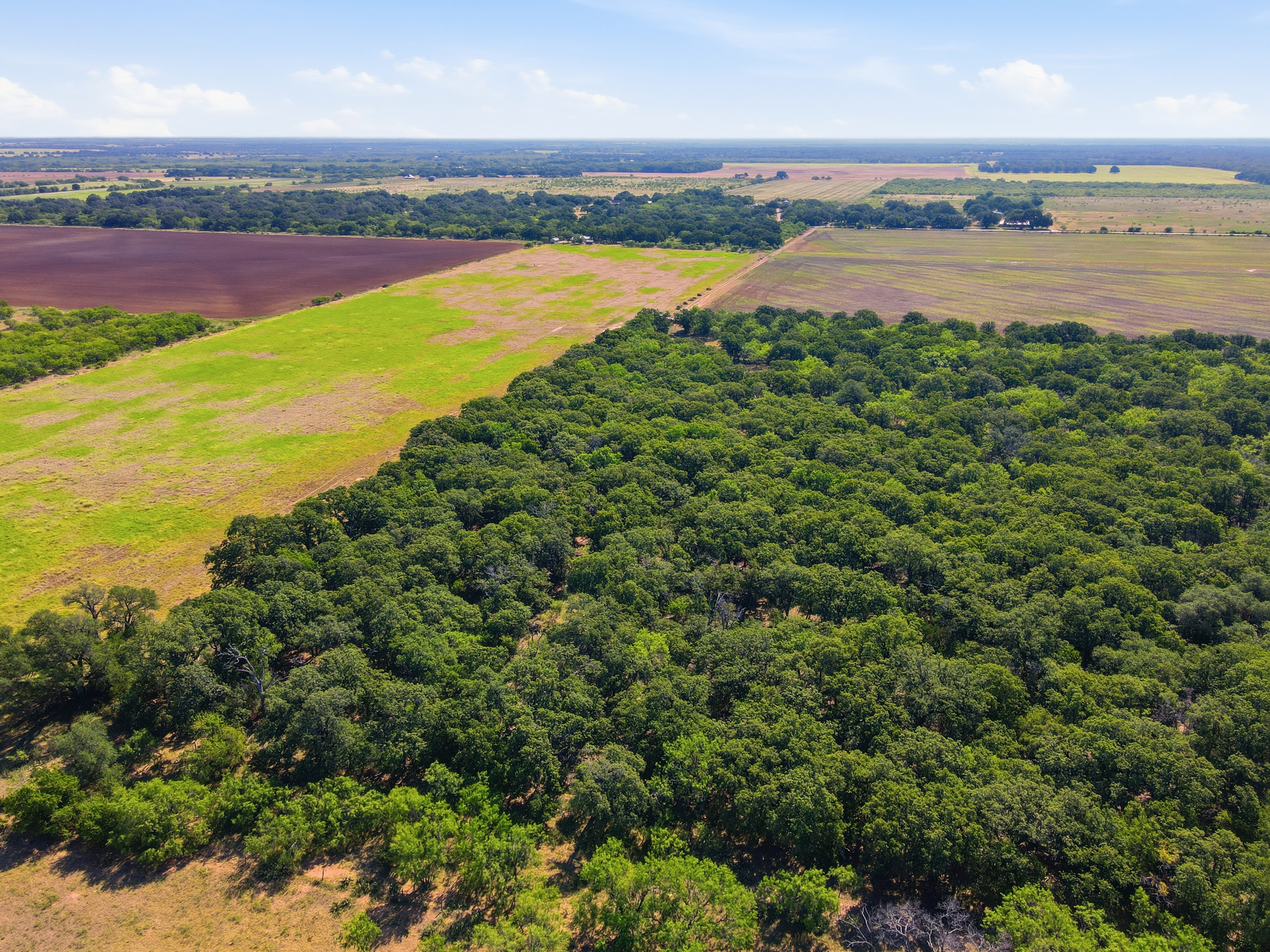  125 Acres of Texas Land for Recreation and Retreat - 物件實景