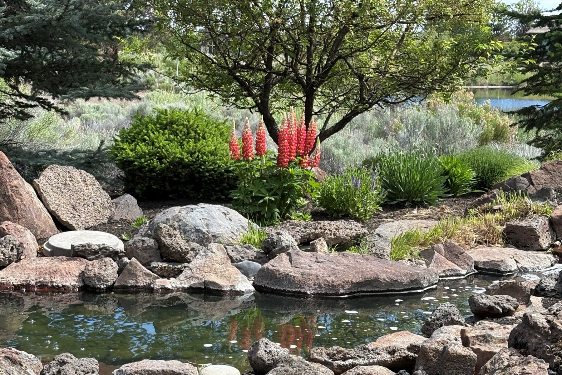  23098 Watercourse Way Bend, OR 97701 - 物件實景