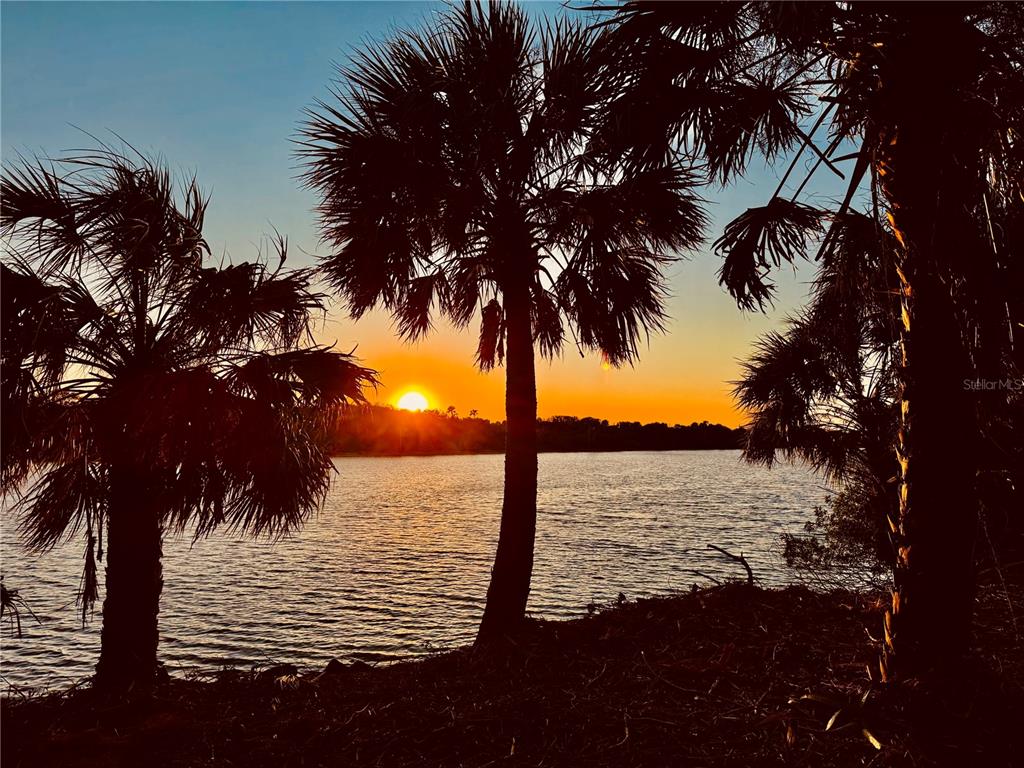 Ormond Beach, Florida, 32176, United States, ,Land,For Sale,1743794