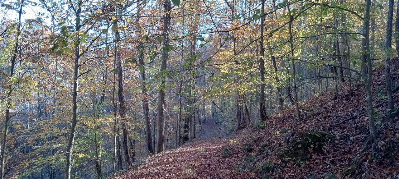 Willow Shade, Kentucky, 42166, United States, 3 Bedrooms Bedrooms, ,2 BathroomsBathrooms,Residential,For Sale,1991903