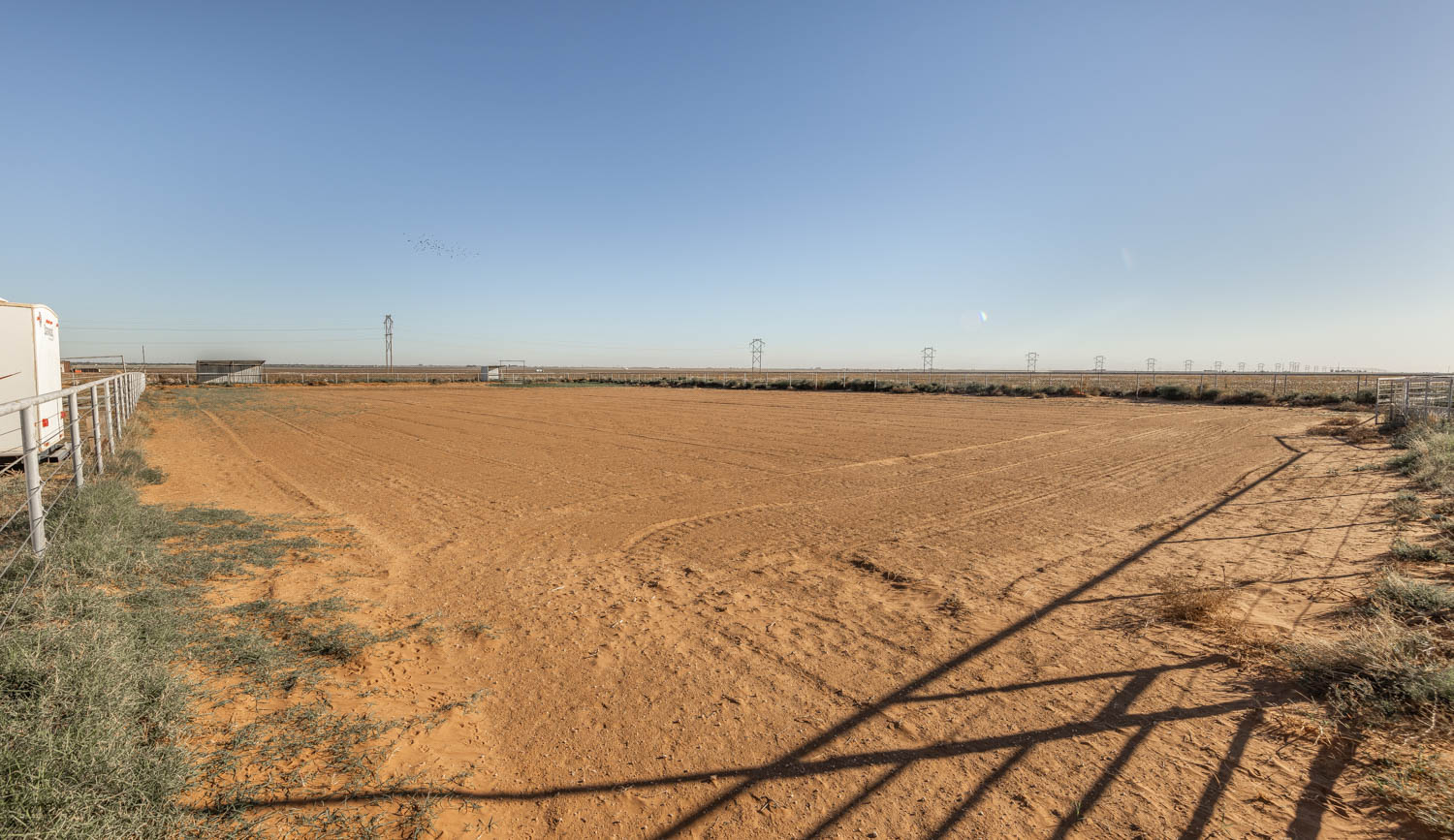 Levelland, Texas, 79336, United States, 4 Bedrooms Bedrooms, ,3 BathroomsBathrooms,Residential,For Sale,1901837