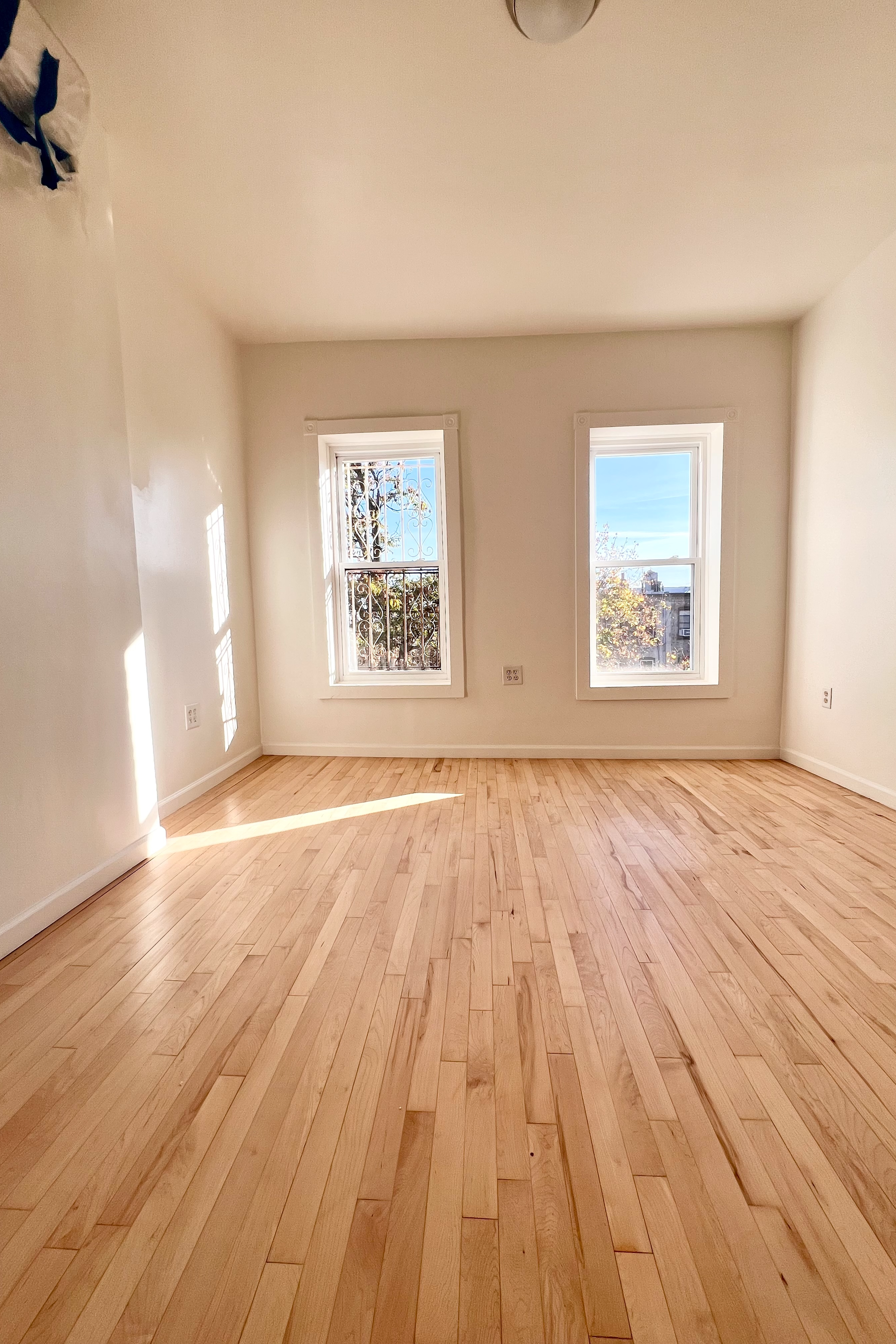  Renovated TH in the Heart of Stuvyesant Heights - 物件實景