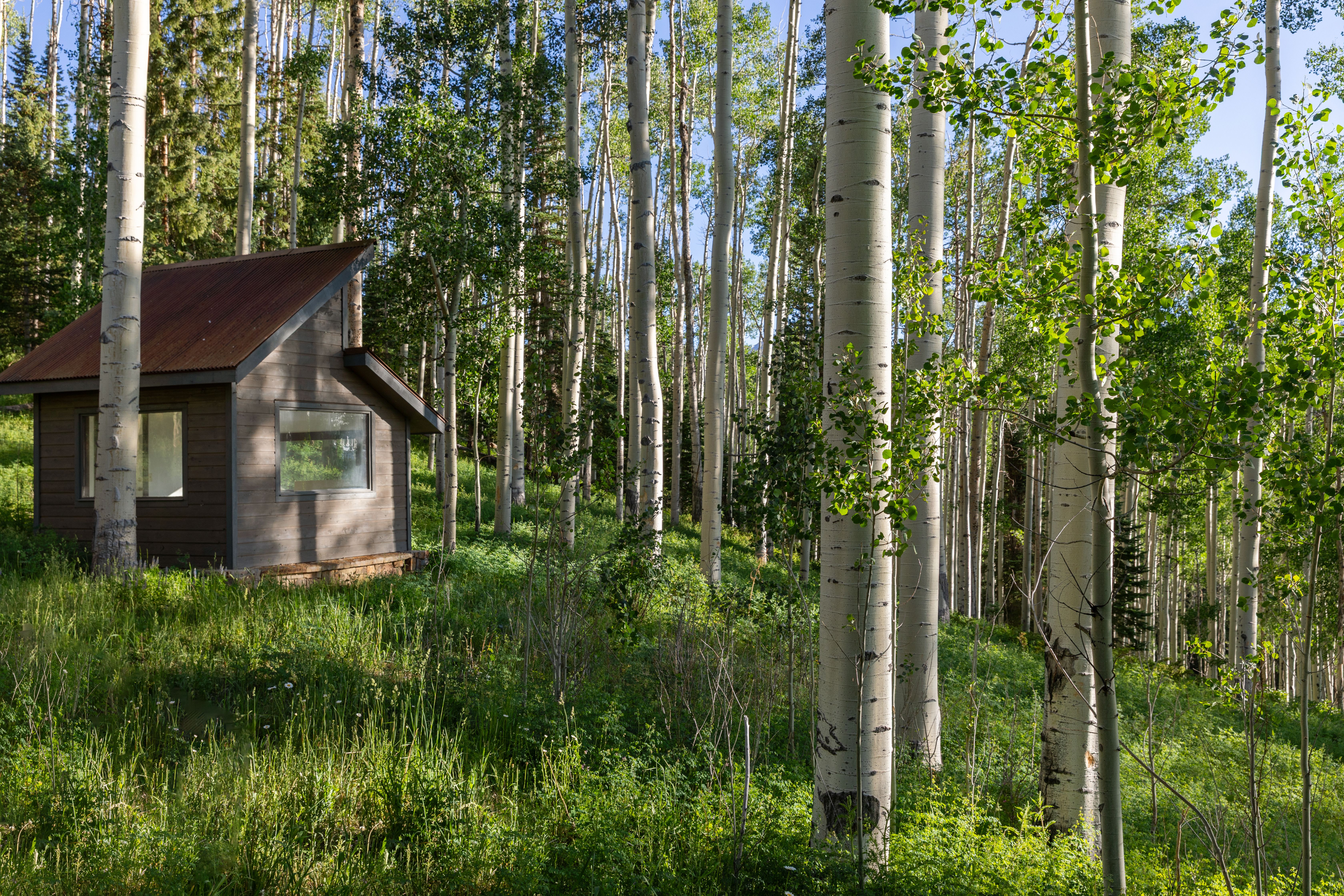  Mountain Escape Minutes from Telluride Ski Resort - 物件實景