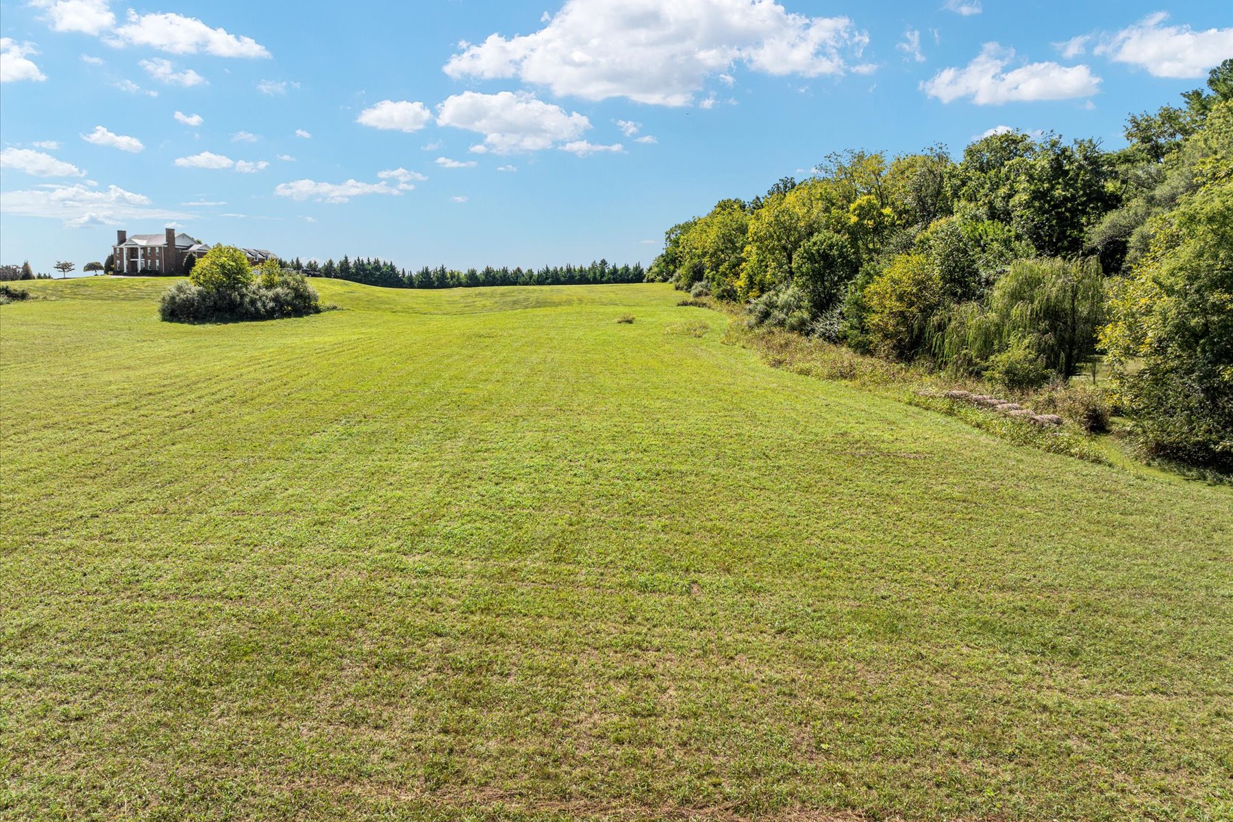  261 Merrifield Lane, Winchester, VA, 22602 - 物件實景