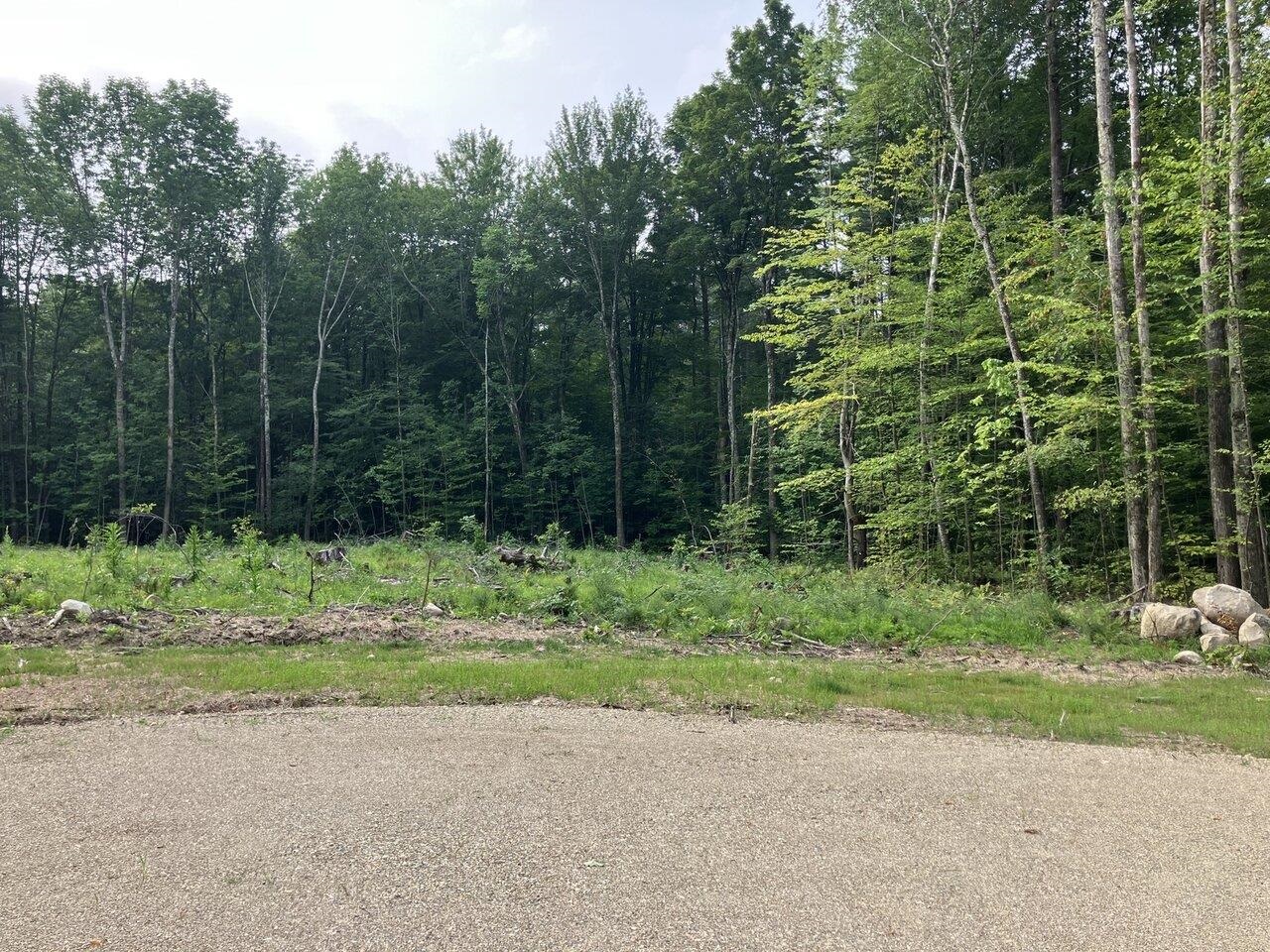 Leicester, Vermont, 05733, United States, ,Land,For Sale,1916983