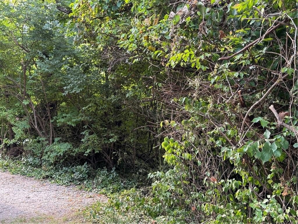 Fayetteville, Arkansas, 72701, United States, 2 Bedrooms Bedrooms, ,2 BathroomsBathrooms,Residential,For Sale,1980541