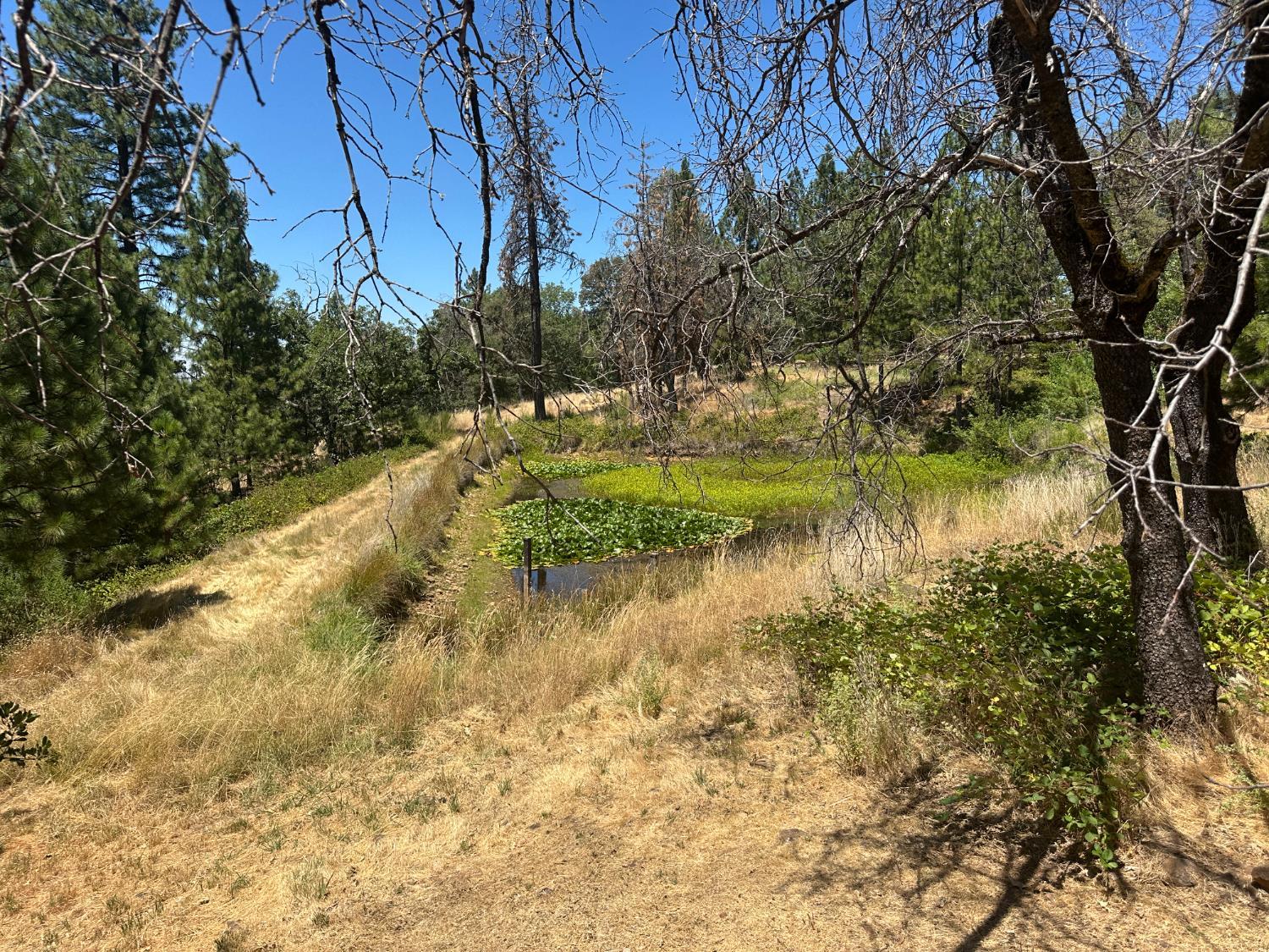 Georgetown, California, 95634, United States, ,Residential,For Sale,1943393