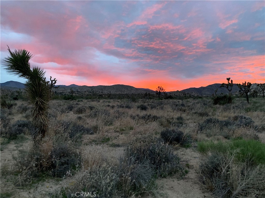 200 Gods Way Love Road W, Pioneertown, California, 92268, United States, ,Land,For Sale,200 Gods Way Love Road W,1435338