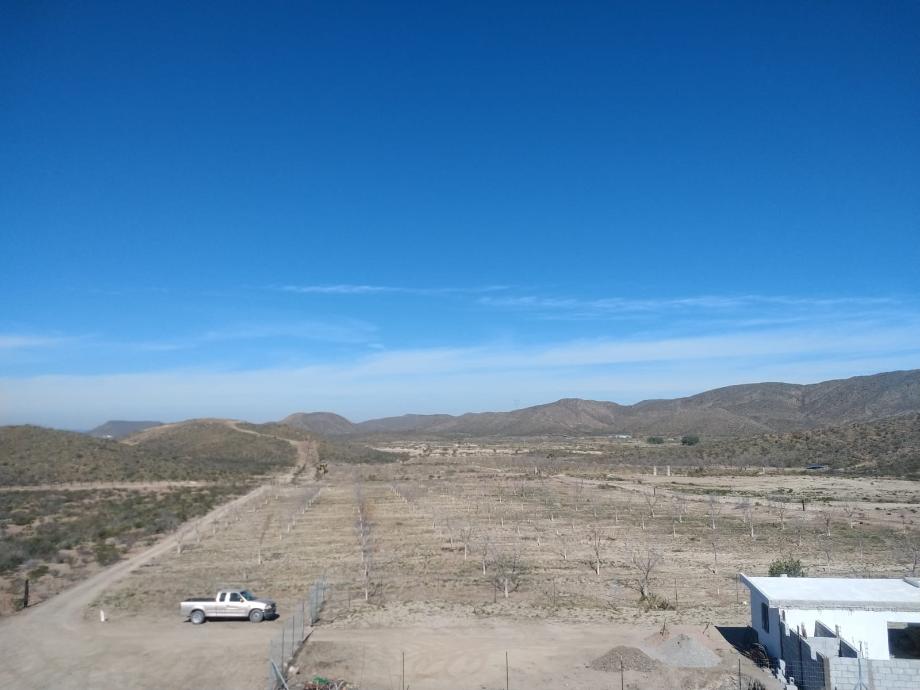 KM 3 CARRETERA PARRAS A GENERAL CEPEDA, Parras, Coahuila de Zaragoza, 27987, Mexico, 1 Bedroom Bedrooms, ,Residential,For Sale,KM 3 CARRETERA PARRAS A GENERAL CEPEDA,1472261