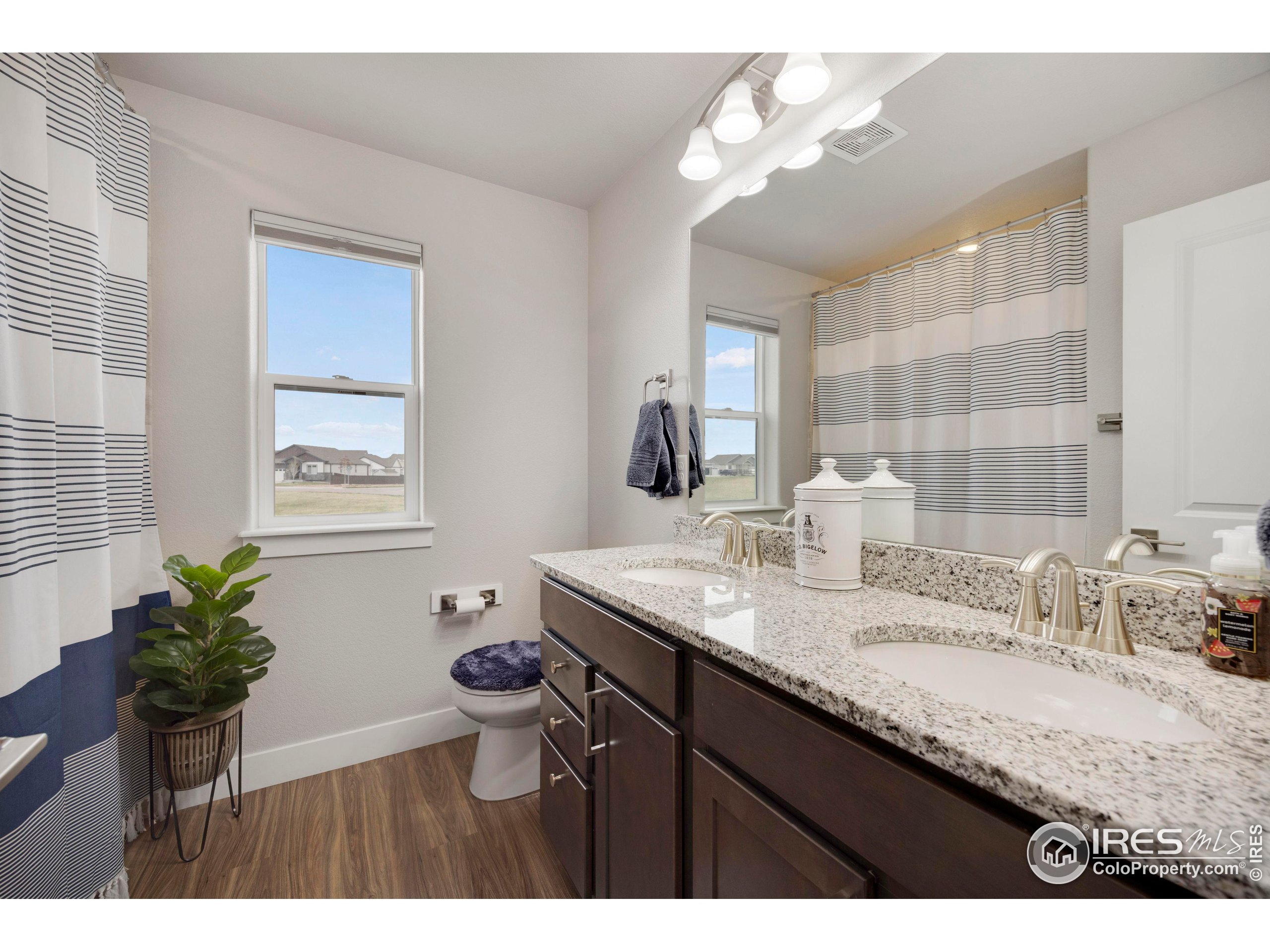 Loveland, Colorado, 80538, United States, 5 Bedrooms Bedrooms, ,3 BathroomsBathrooms,Residential,For Sale,1866532