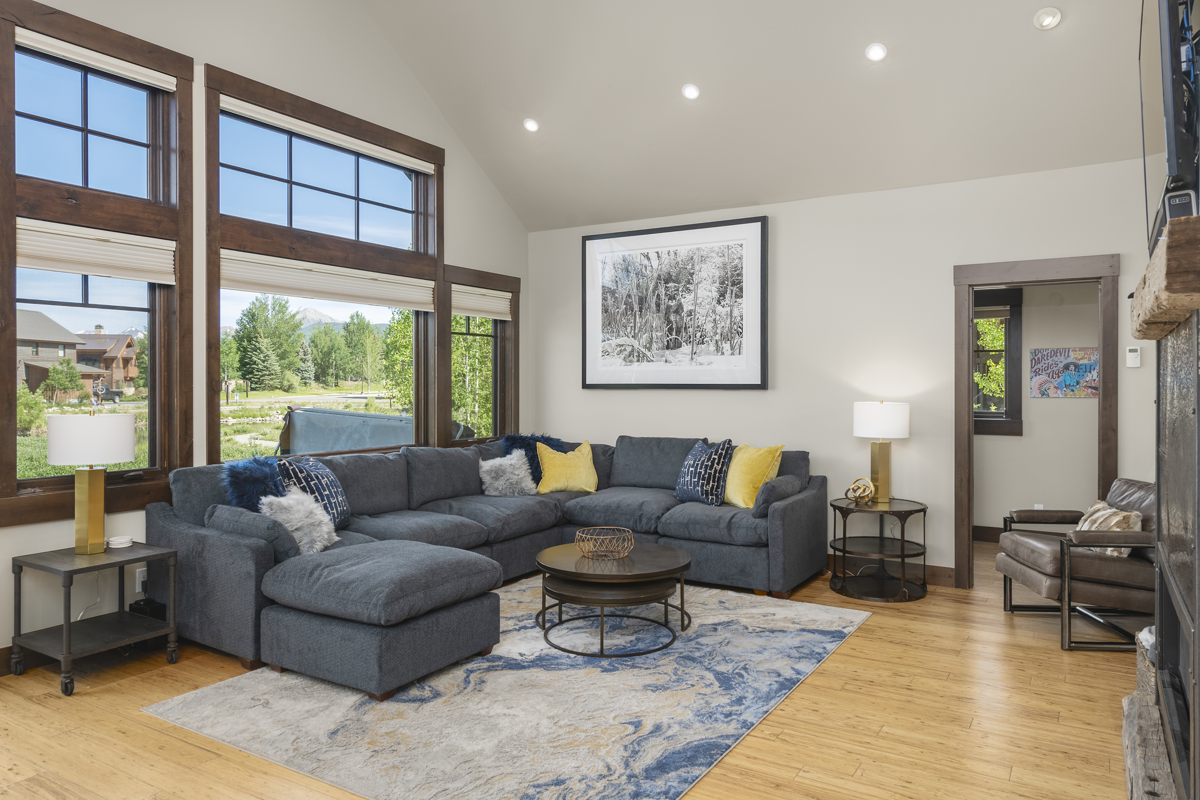  330 Larkspur Loop, Crested Butte, CO 81224 - 物件實景