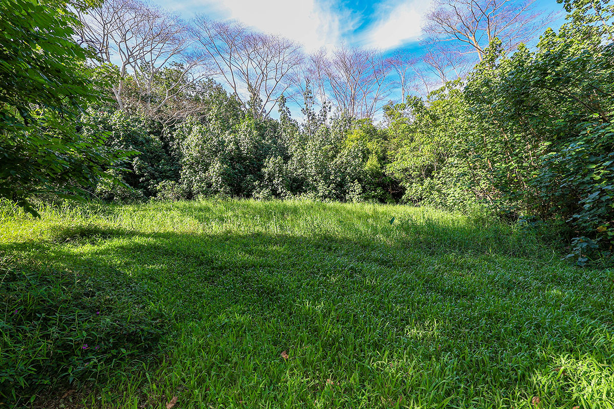 6828-B KUAMOO RD 2, Kapaa, Hawaii, 96746, United States, ,Land,For Sale,6828-B KUAMOO RD 2,1672725