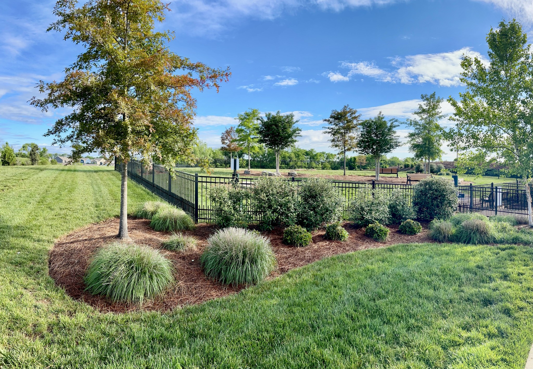 Spring Hill, Tennessee, 37174, United States, 3 Bedrooms Bedrooms, ,2 BathroomsBathrooms,Residential,For Sale,1821005