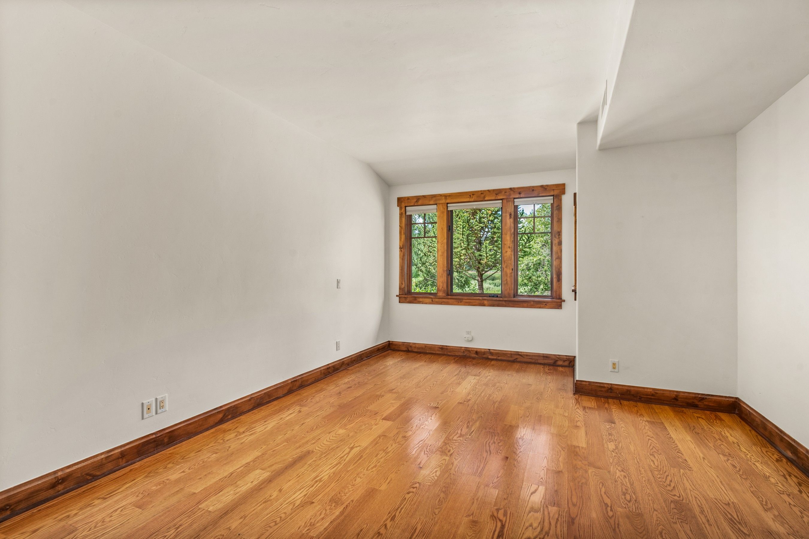  381 Boundary Lane, Carbondale, CO, 81623 - 物件實景