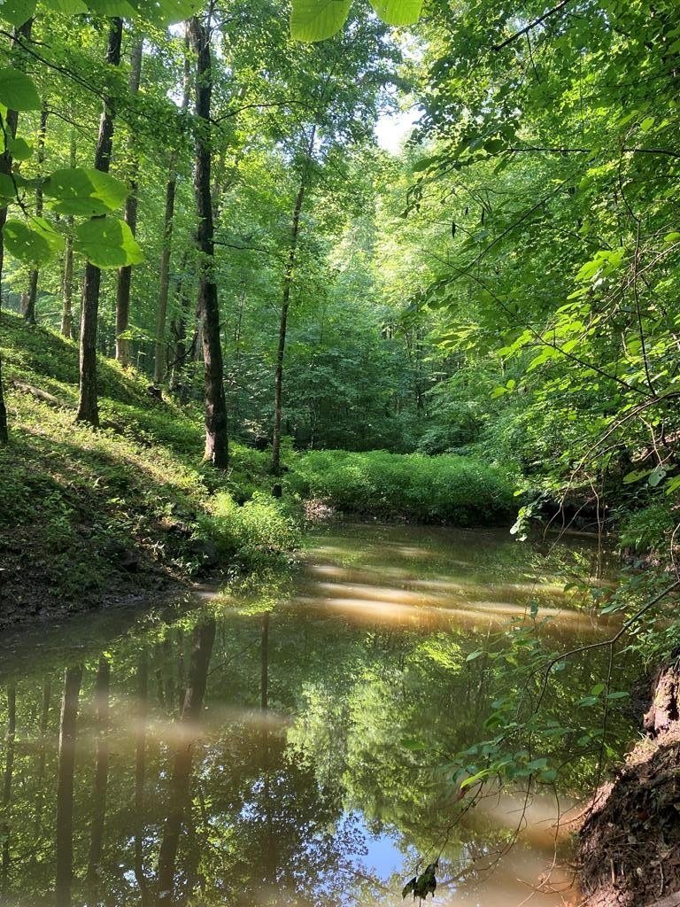 Hiawassee, Georgia, 30546, United States, 3 Bedrooms Bedrooms, ,4 BathroomsBathrooms,Residential,For Sale,1981335