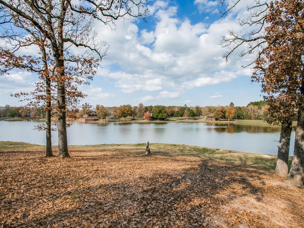1370 Vzcr 4907, Ben Wheeler, Texas, 75754, United States, 11 Bedrooms Bedrooms, ,14 BathroomsBathrooms,Land,For Sale,1370 Vzcr 4907,1663895