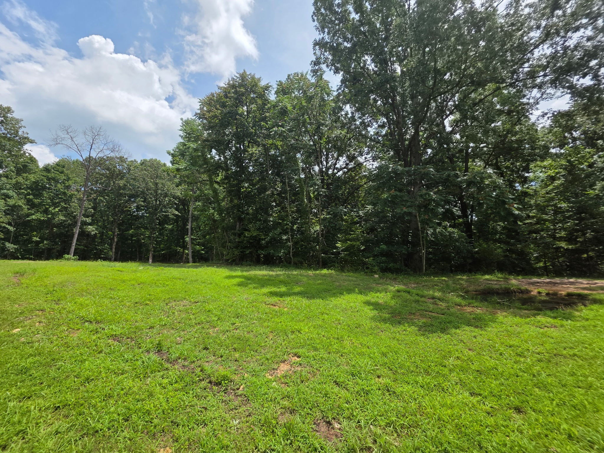 Cunningham, Tennessee, 37052, United States, ,Residential,For Sale,1920443