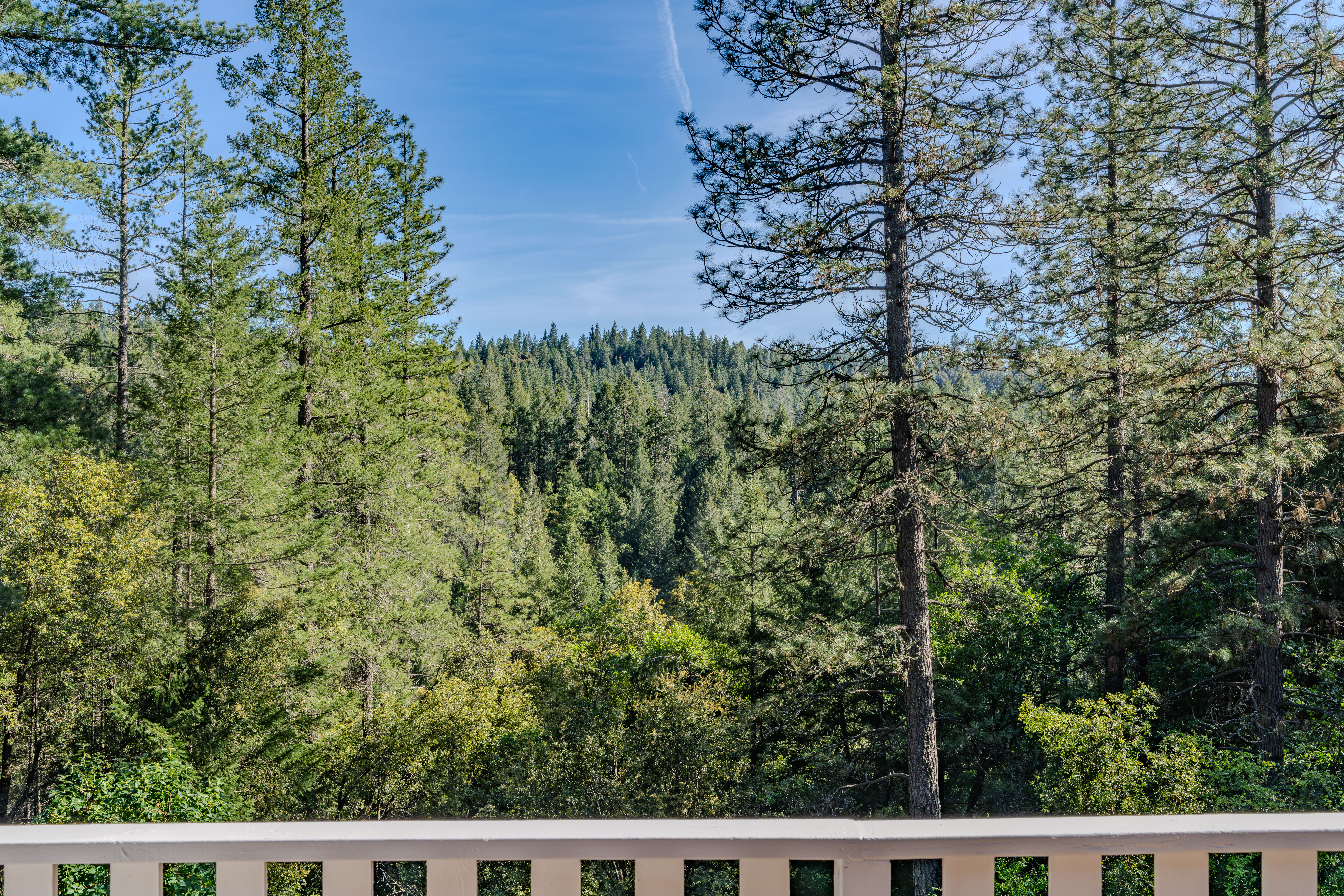  21640 Clute Canyon Road, Volcano, CA 95689 - 物件實景