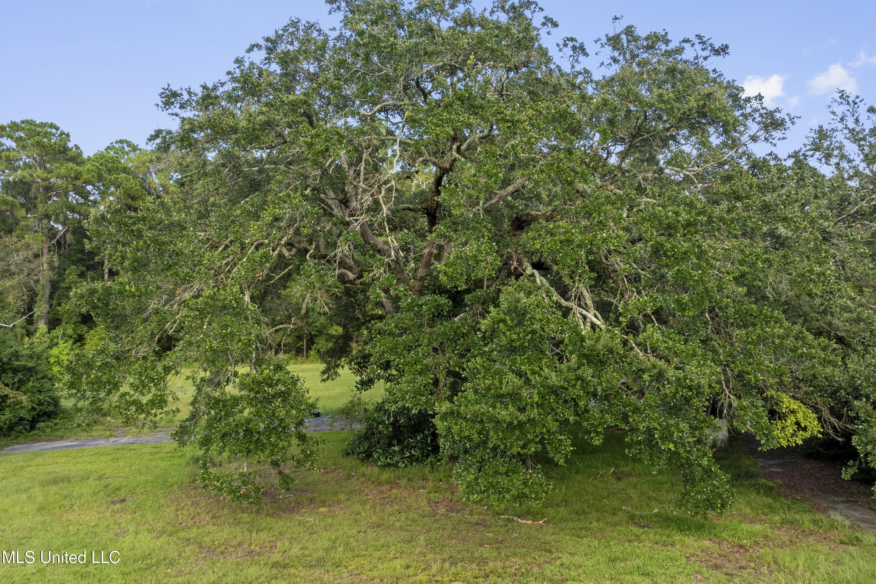 Ocean Springs, Mississippi, 39564, United States, ,Land,For Sale,1981967