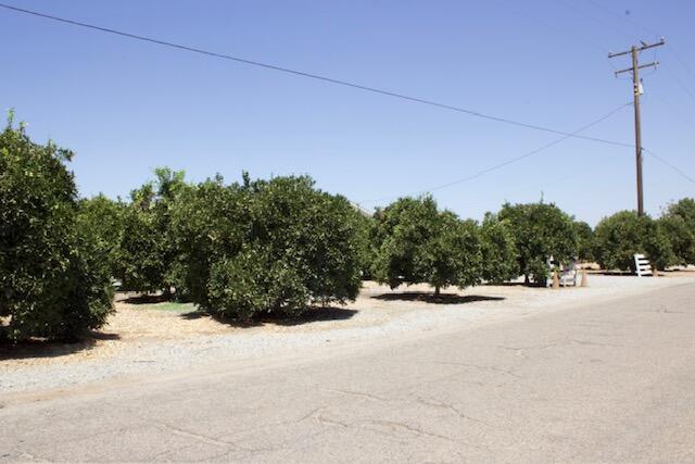 Lindsay, California, 93247, United States, 4 Bedrooms Bedrooms, ,2 BathroomsBathrooms,Residential,For Sale,1982770