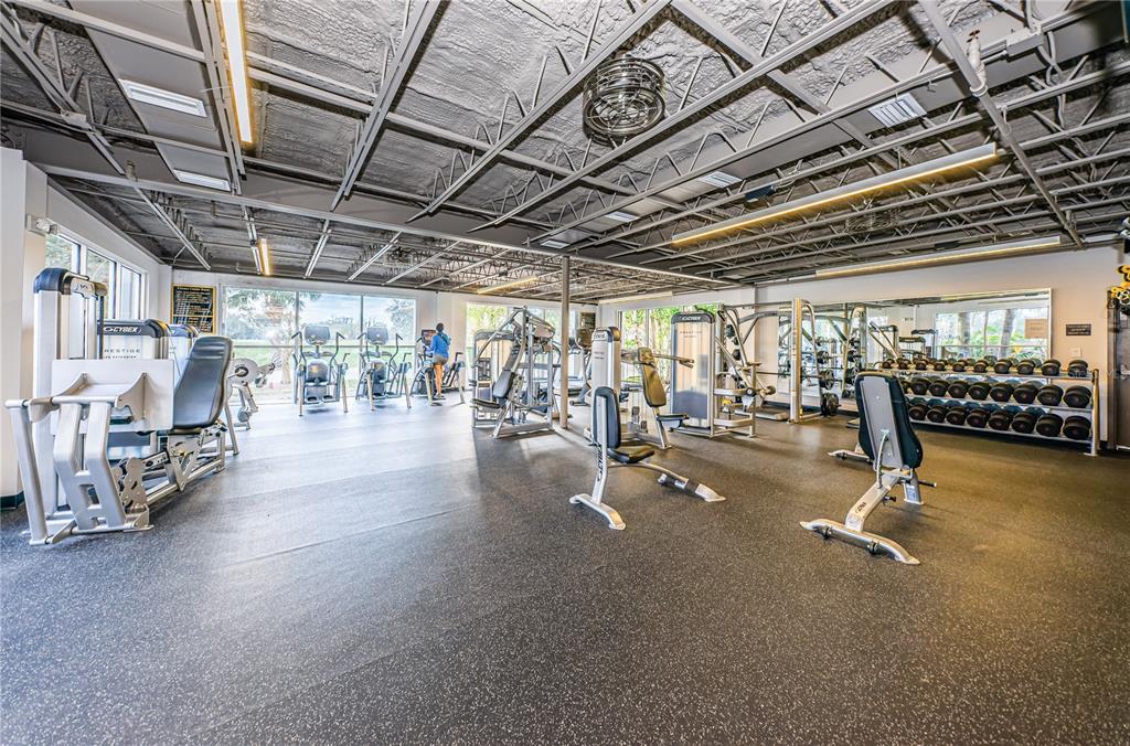 Oldsmar, Florida, 34677, United States, 3 Bedrooms Bedrooms, ,2 BathroomsBathrooms,Residential,For Sale,1933265