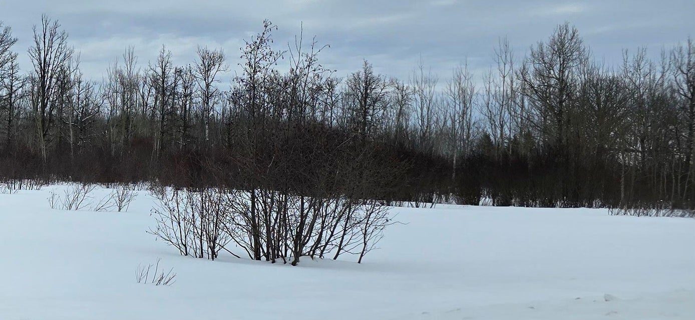 Sault Ste Marie, Michigan, 49783, United States, ,Land,For Sale,1977919