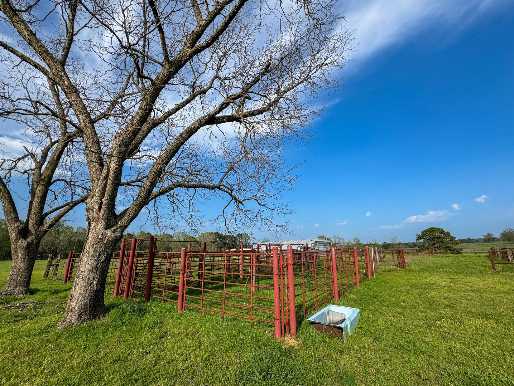 Bivins, Texas, 75555, United States, ,Residential,For Sale,1755933