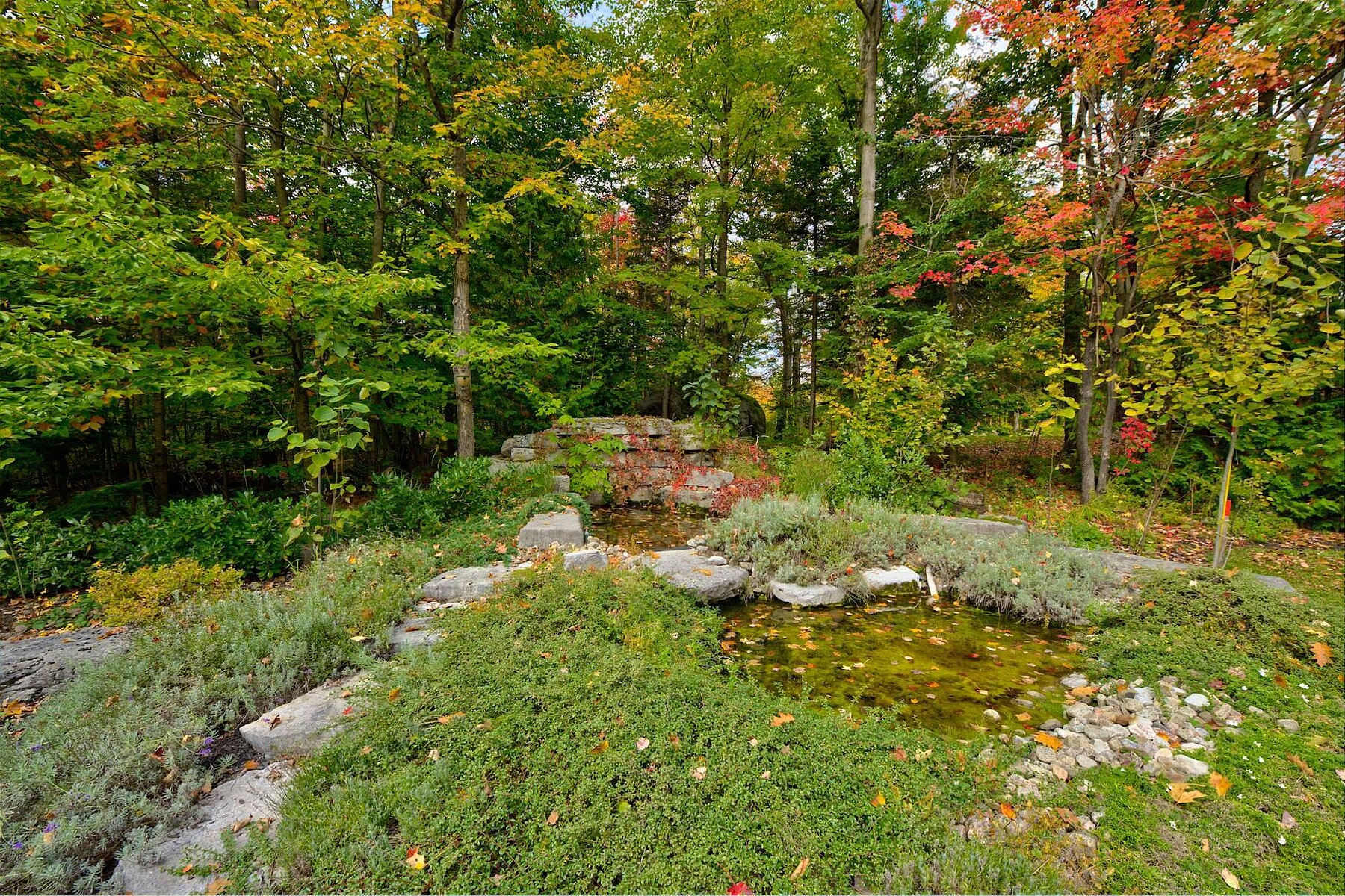  Sainte-Anne-des-Lacs, Laurentides - 物件實景