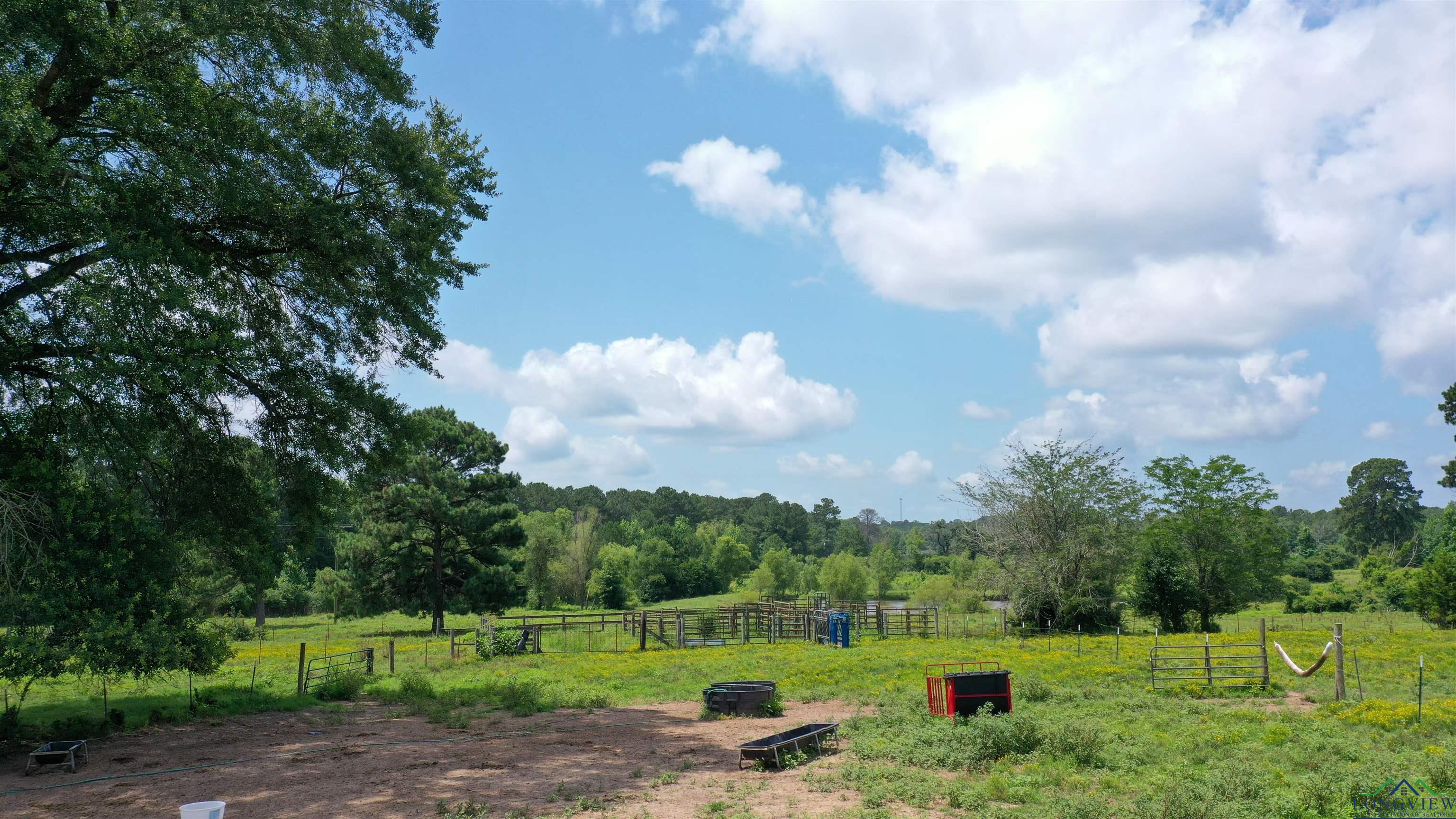 Linden, Texas, 75563, United States, ,Residential,For Sale,1809519