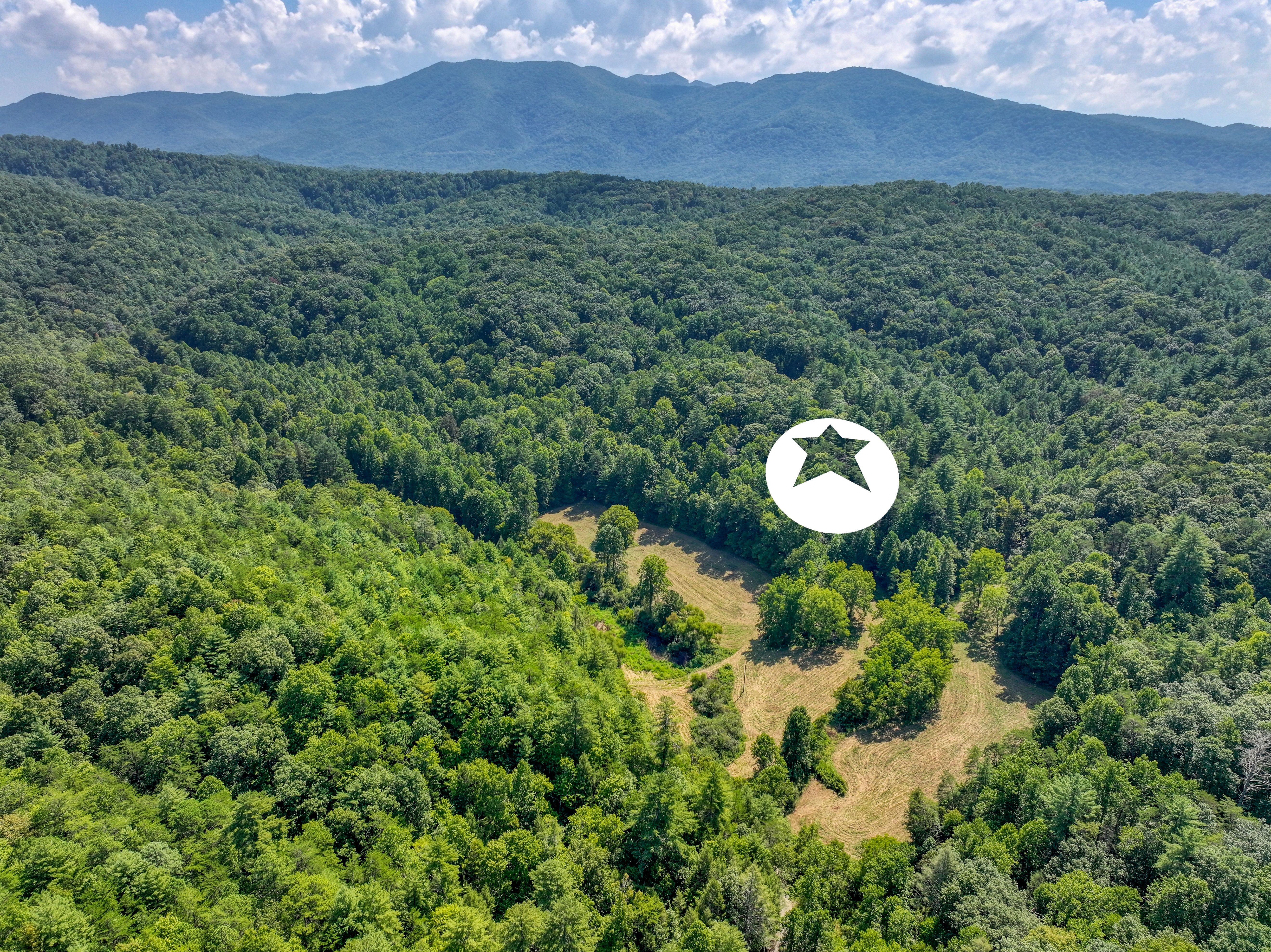  Belcher Loop, Tellico Plains, TN 37385 - 物件實景