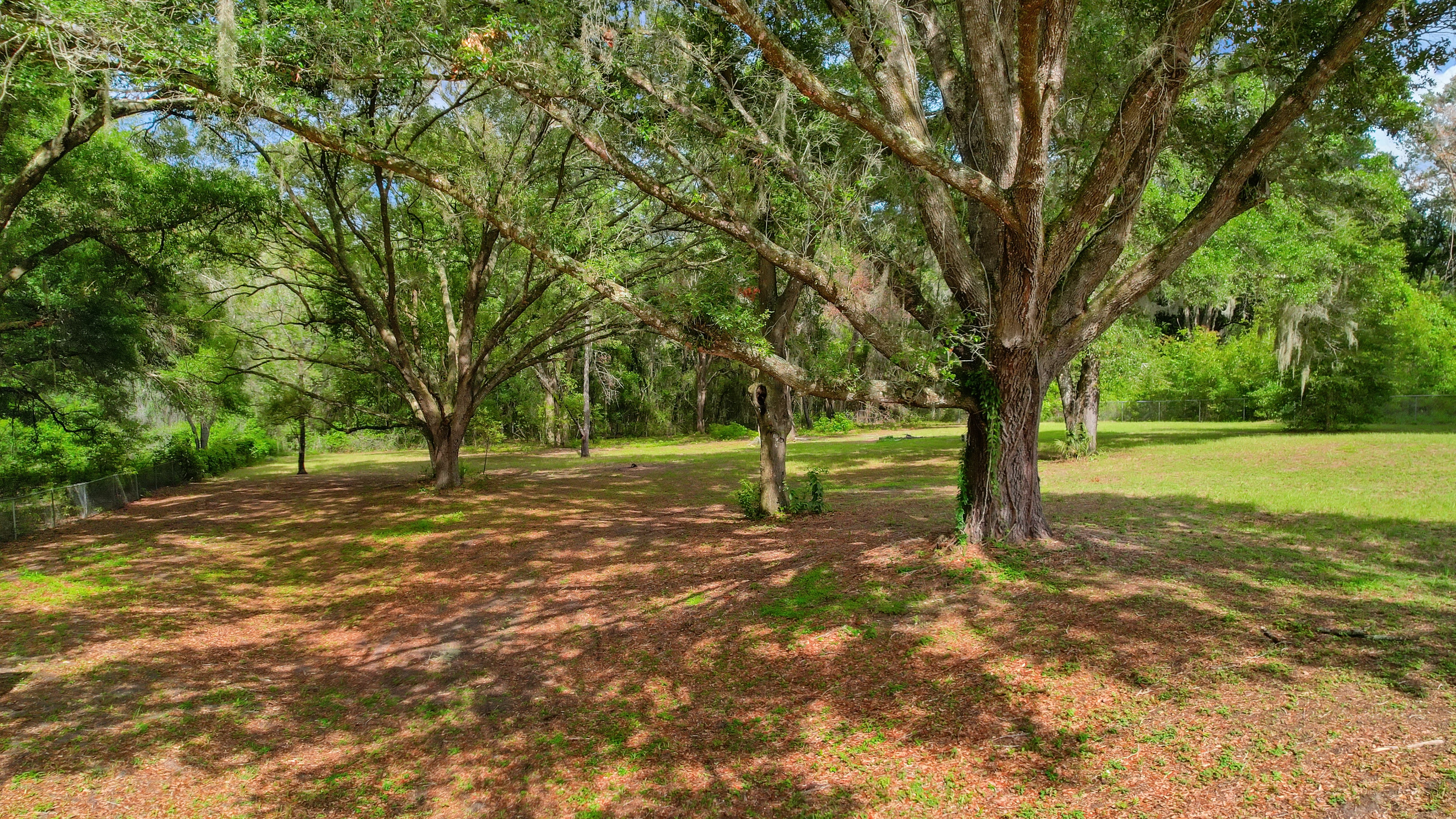 Lady Lake, Florida, 32159, United States, 4 Bedrooms Bedrooms, ,2 BathroomsBathrooms,Residential,For Sale,1873535
