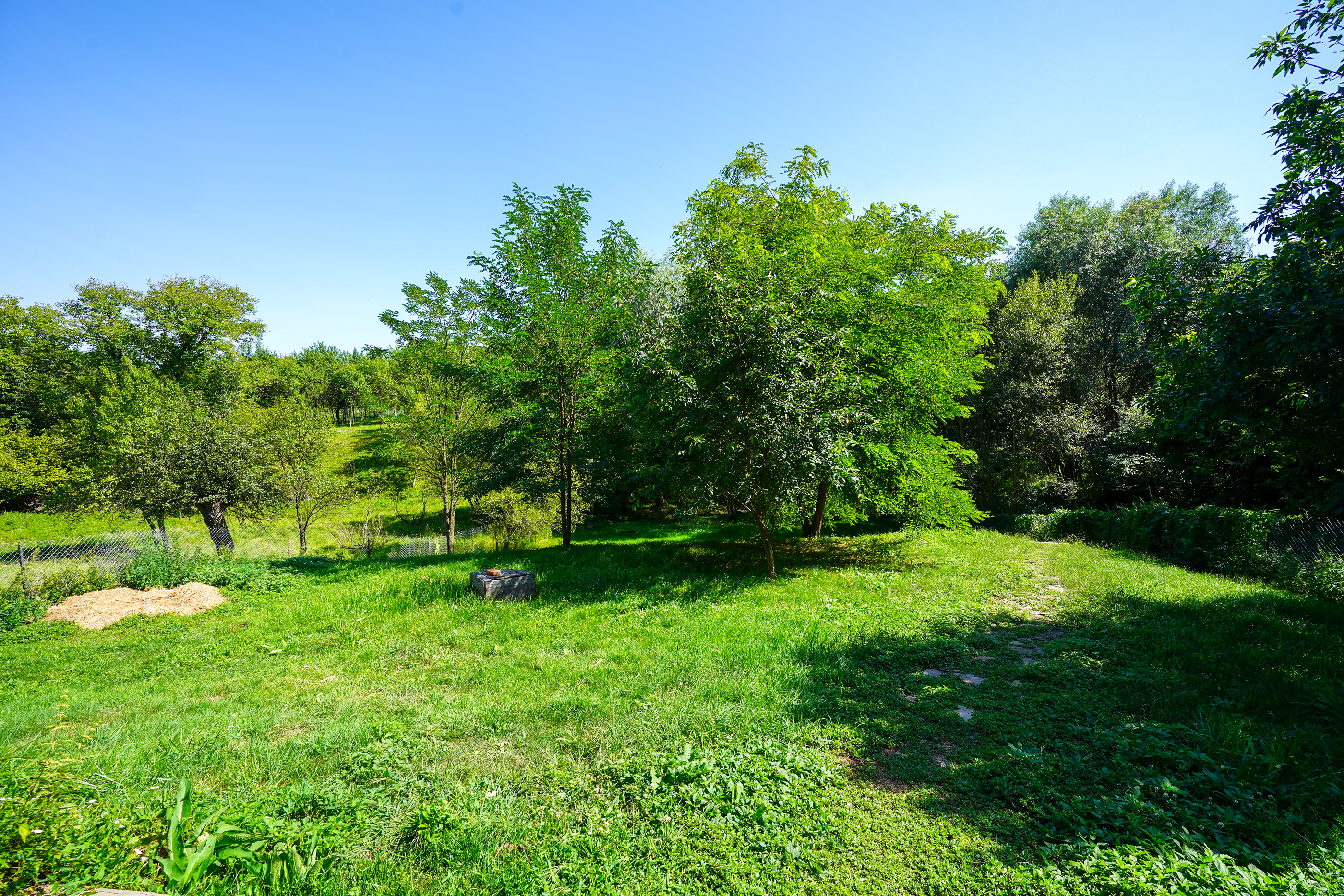 Restored Authentic Saxon House in Viscri, Between Heritage and Nature - 物件實景