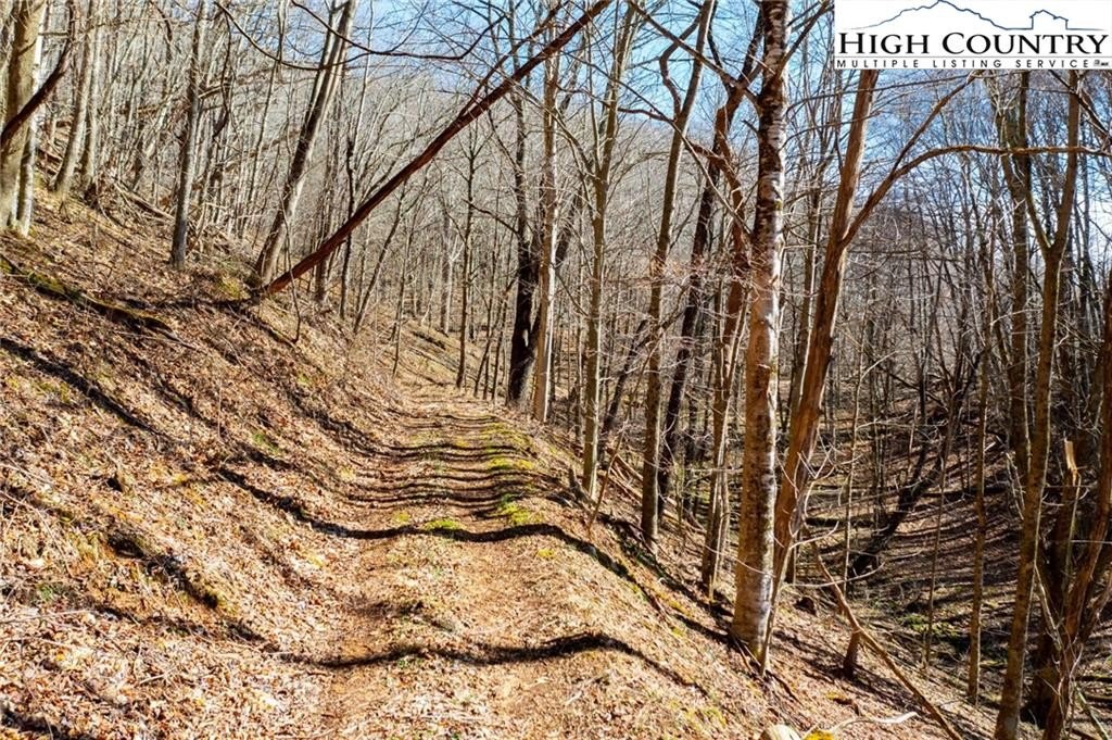 Warrensville, North Carolina, 28693, United States, ,Land,For Sale,1984173