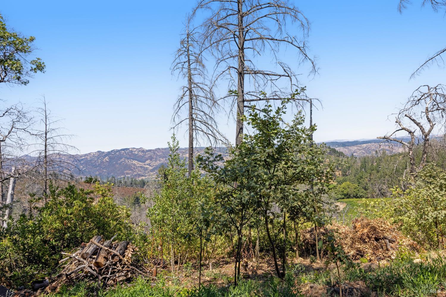 St. Helena, California, 94574, United States, 2 Bedrooms Bedrooms, ,2 BathroomsBathrooms,Residential,For Sale,1975213