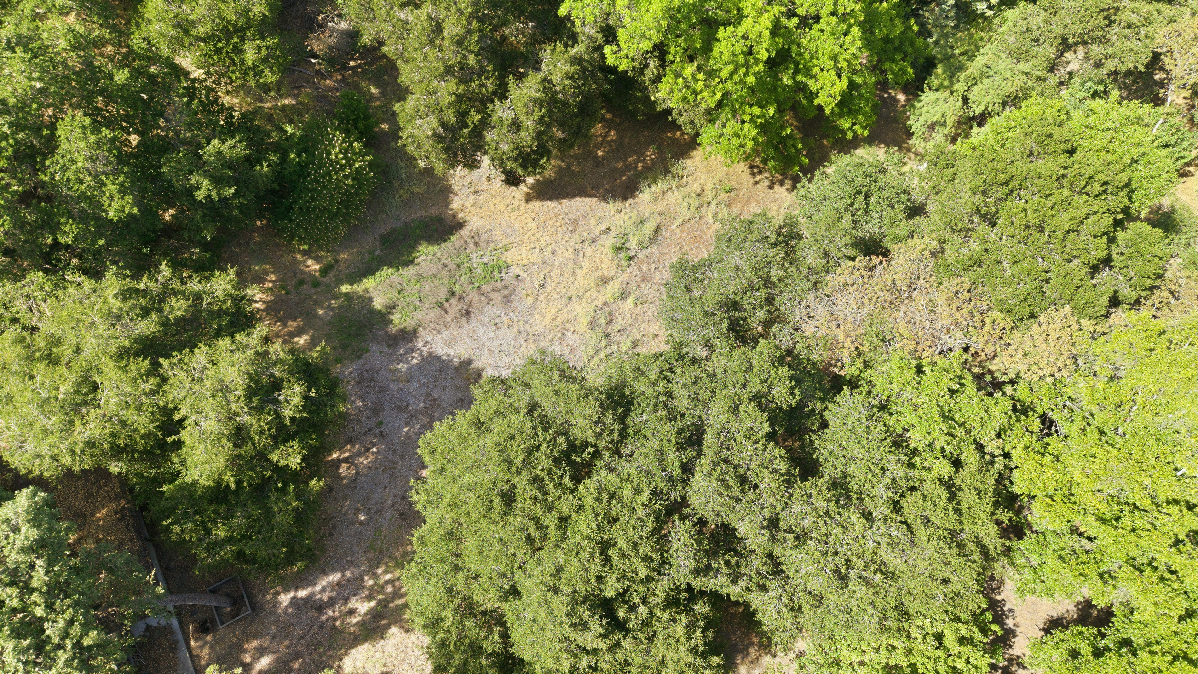  Extraordinary Acre Estate with Development Potential in a Prime Location - 物件實景