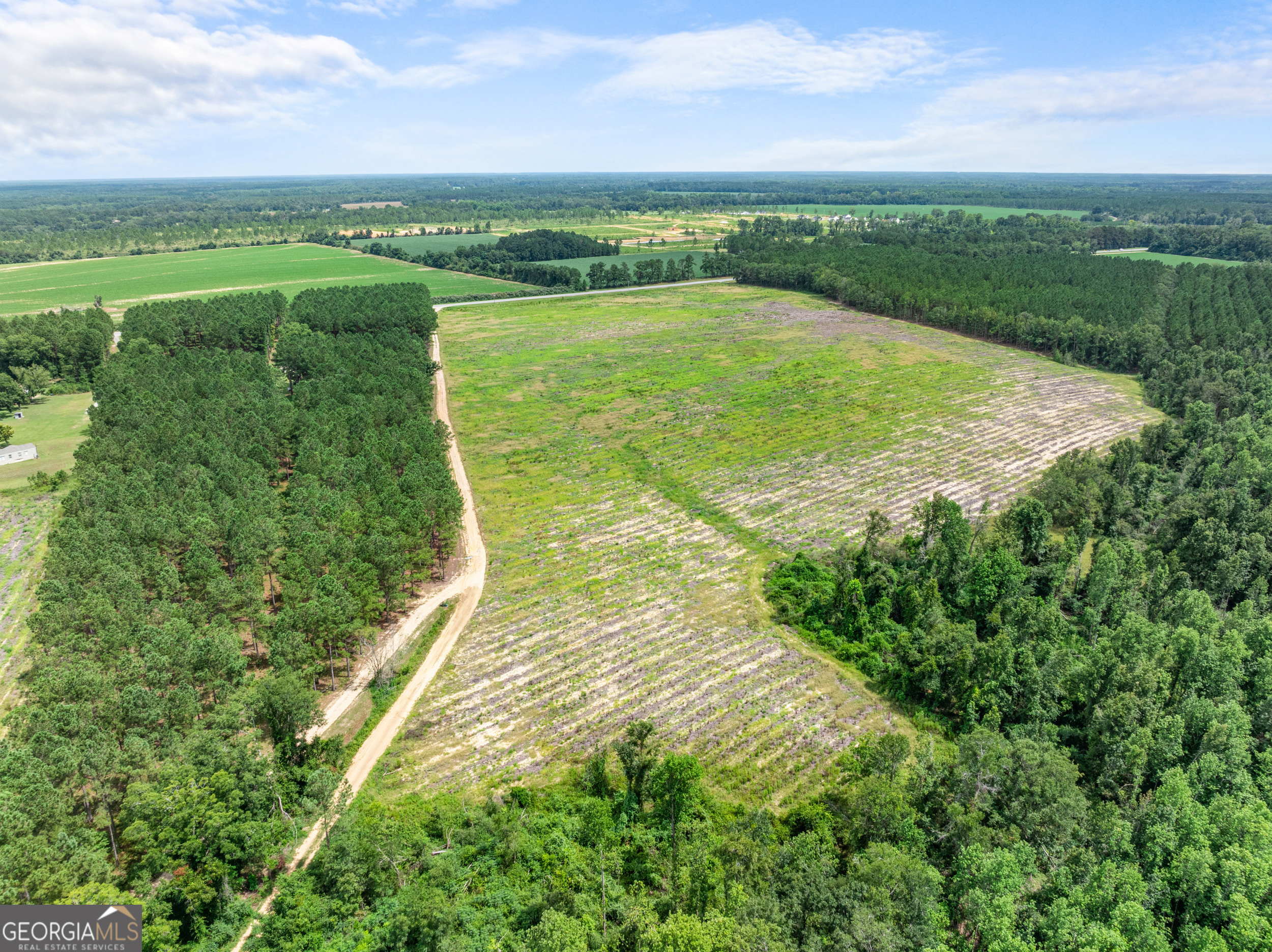 Statesboro, Georgia, 30458, United States, ,Land,For Sale,1911473