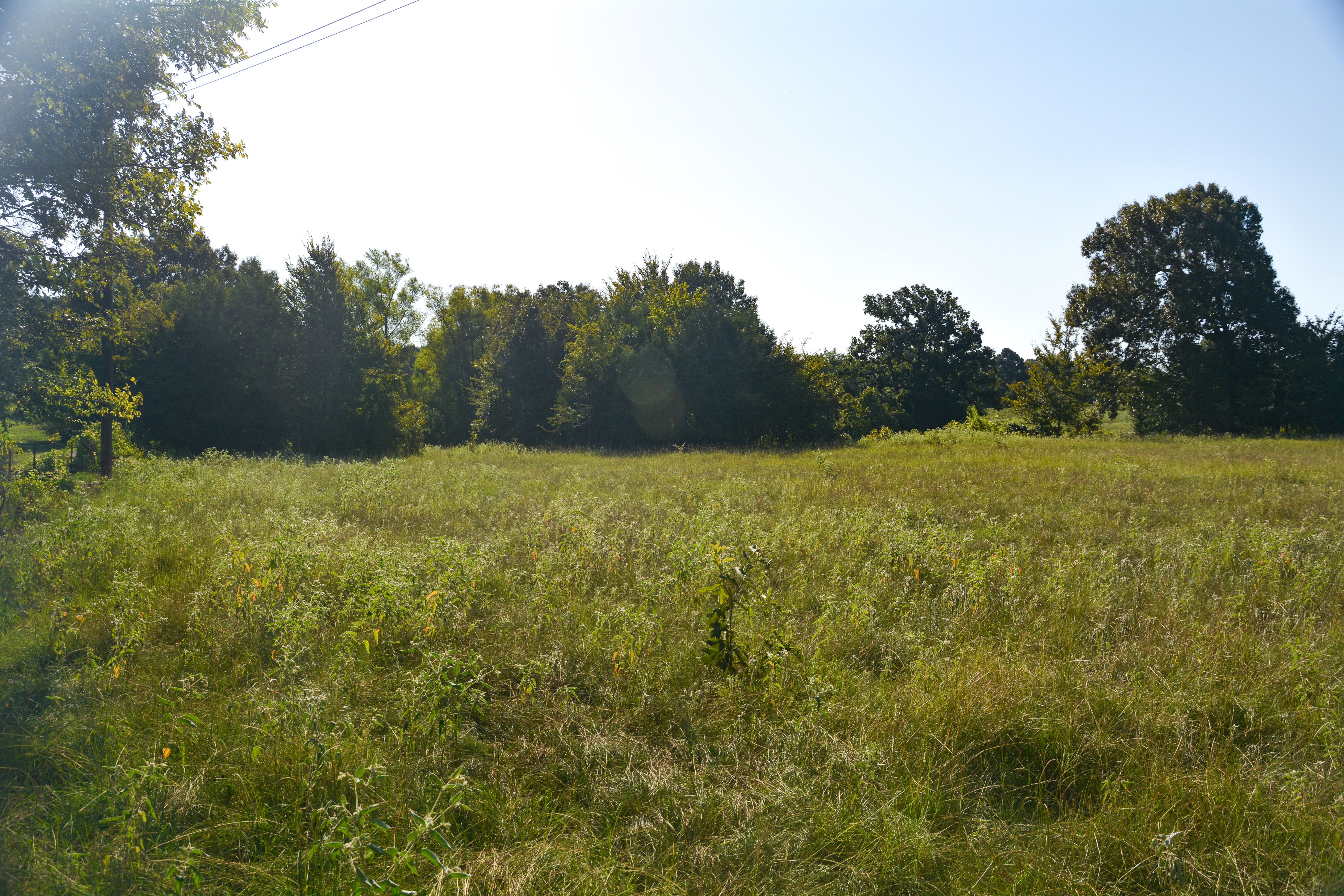 Grand Saline, Texas, 75140, United States, ,Residential,For Sale,1936963