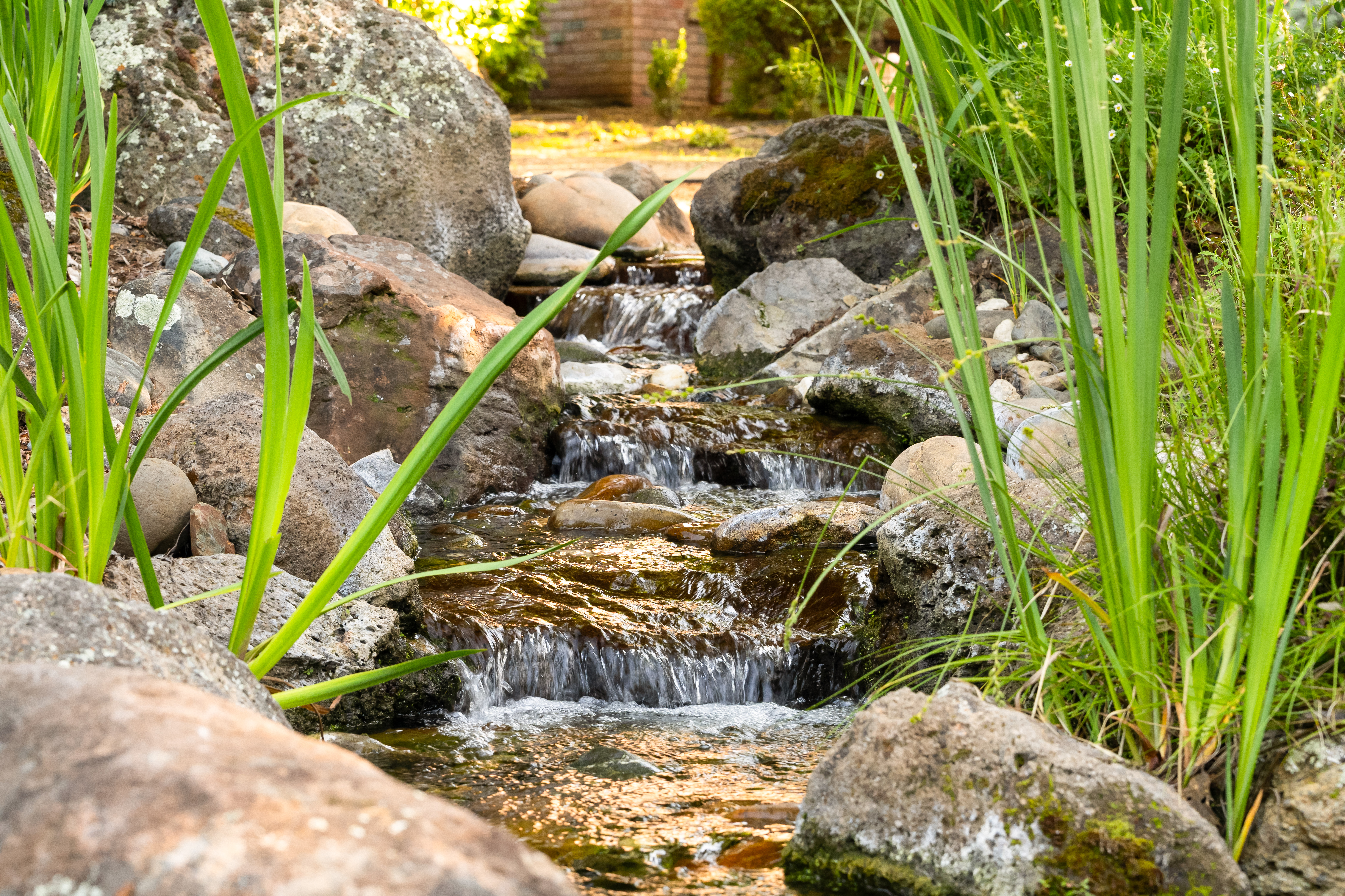  5670 China Hill Road, El Dorado, CA 95623 - 物件實景