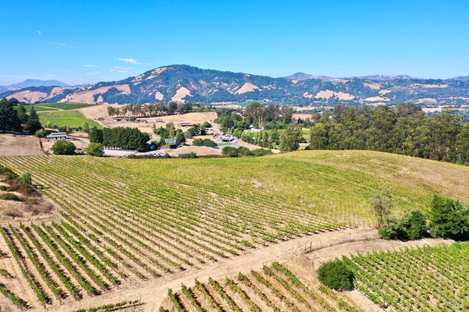 Santa Rosa, California, 95404, United States, 5 Bedrooms Bedrooms, ,4 BathroomsBathrooms,Residential,For Sale,1986461