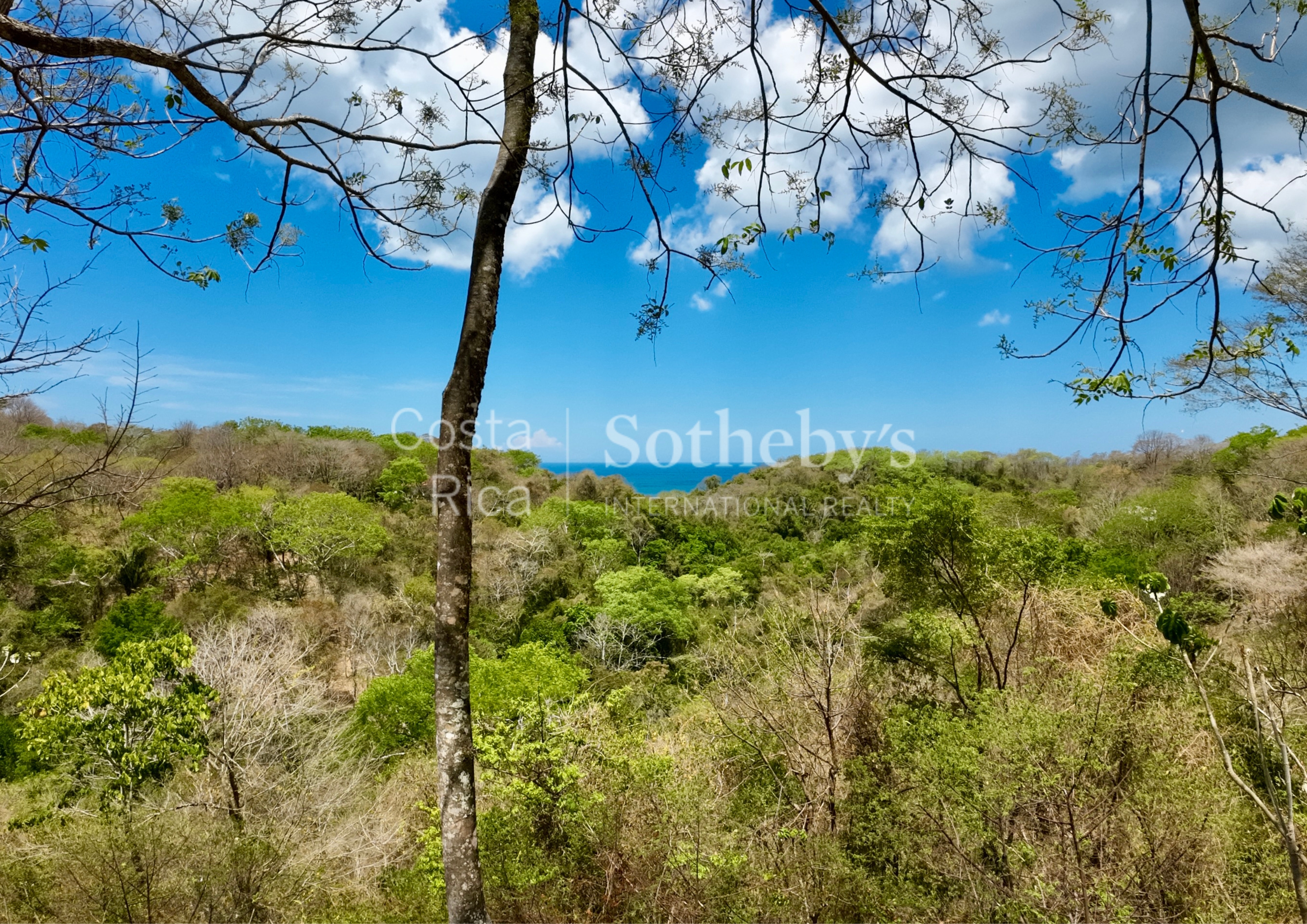  Expansive Ocean View Lot in the Hills of Hermosa - 物件實景