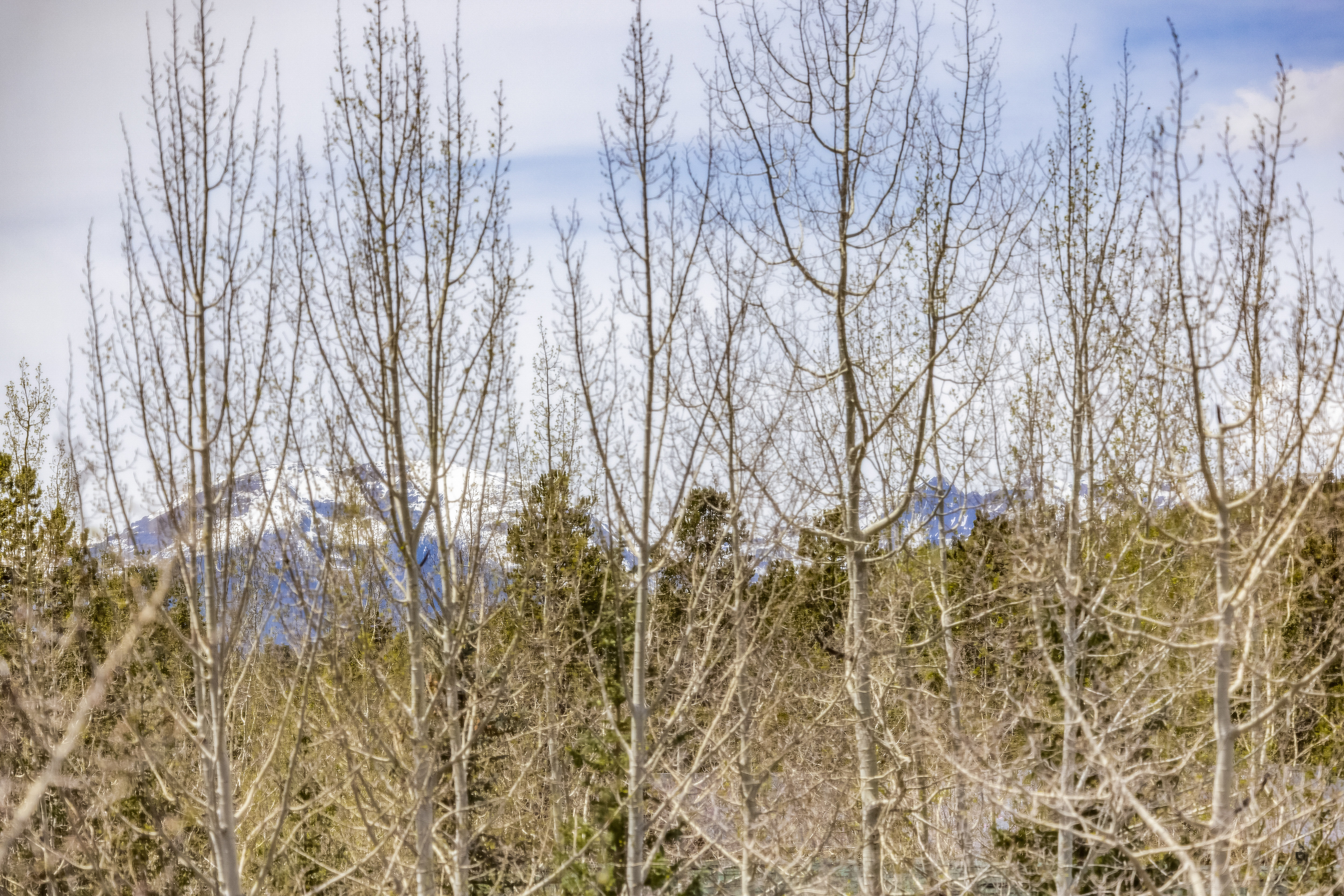  71 Starfire Lane, Keystone, CO, 80435 - 物件實景