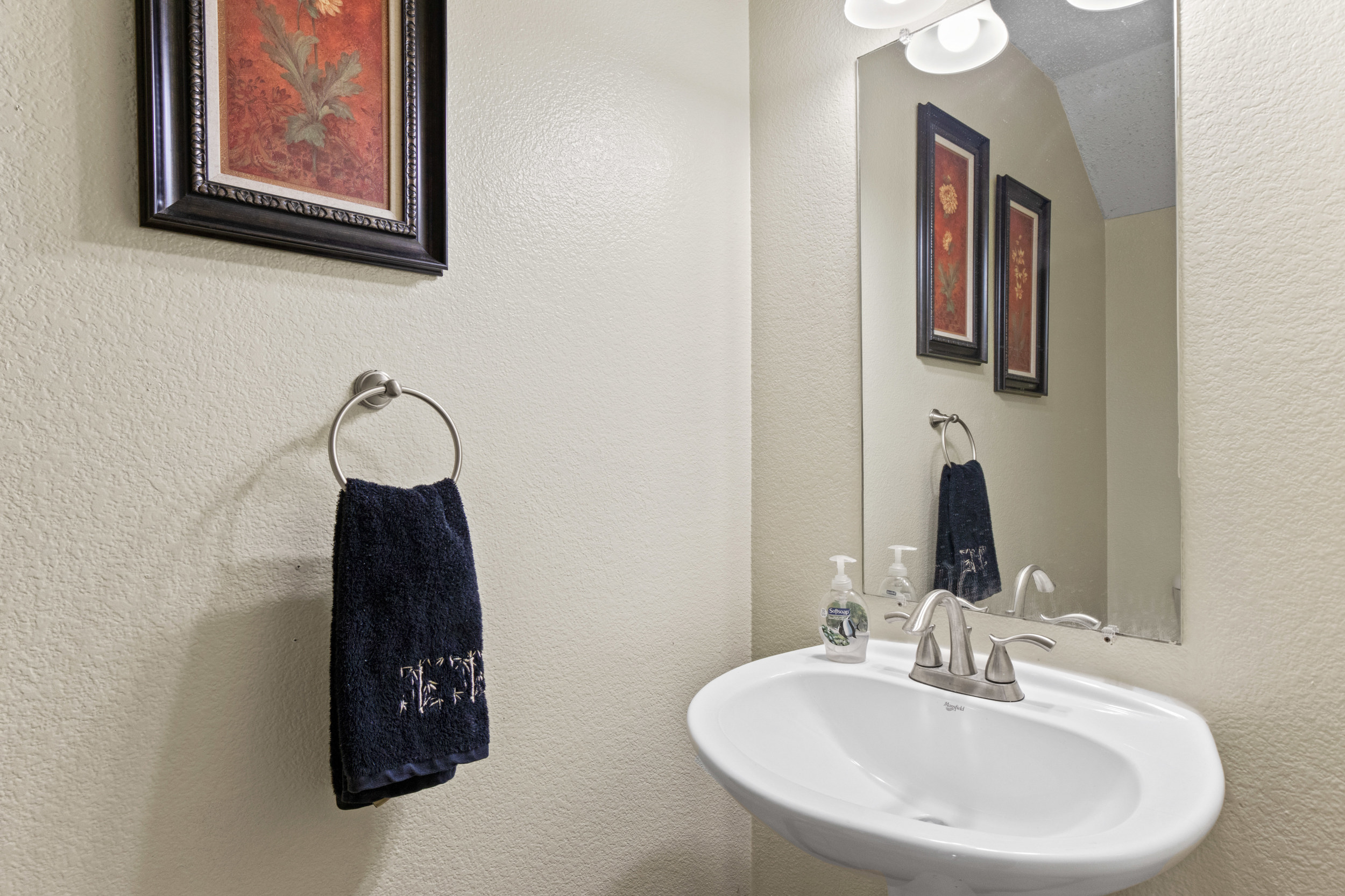  3920 Golden Horn Lane,Fort Worth, TX, 76123 - 物件實景