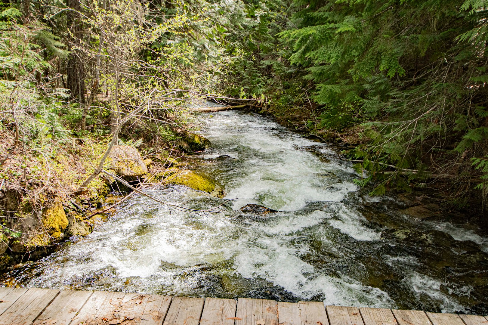 Naples, Idaho, 83847, United States, 2 Bedrooms Bedrooms, ,1 BathroomBathrooms,Residential,For Sale,1979957