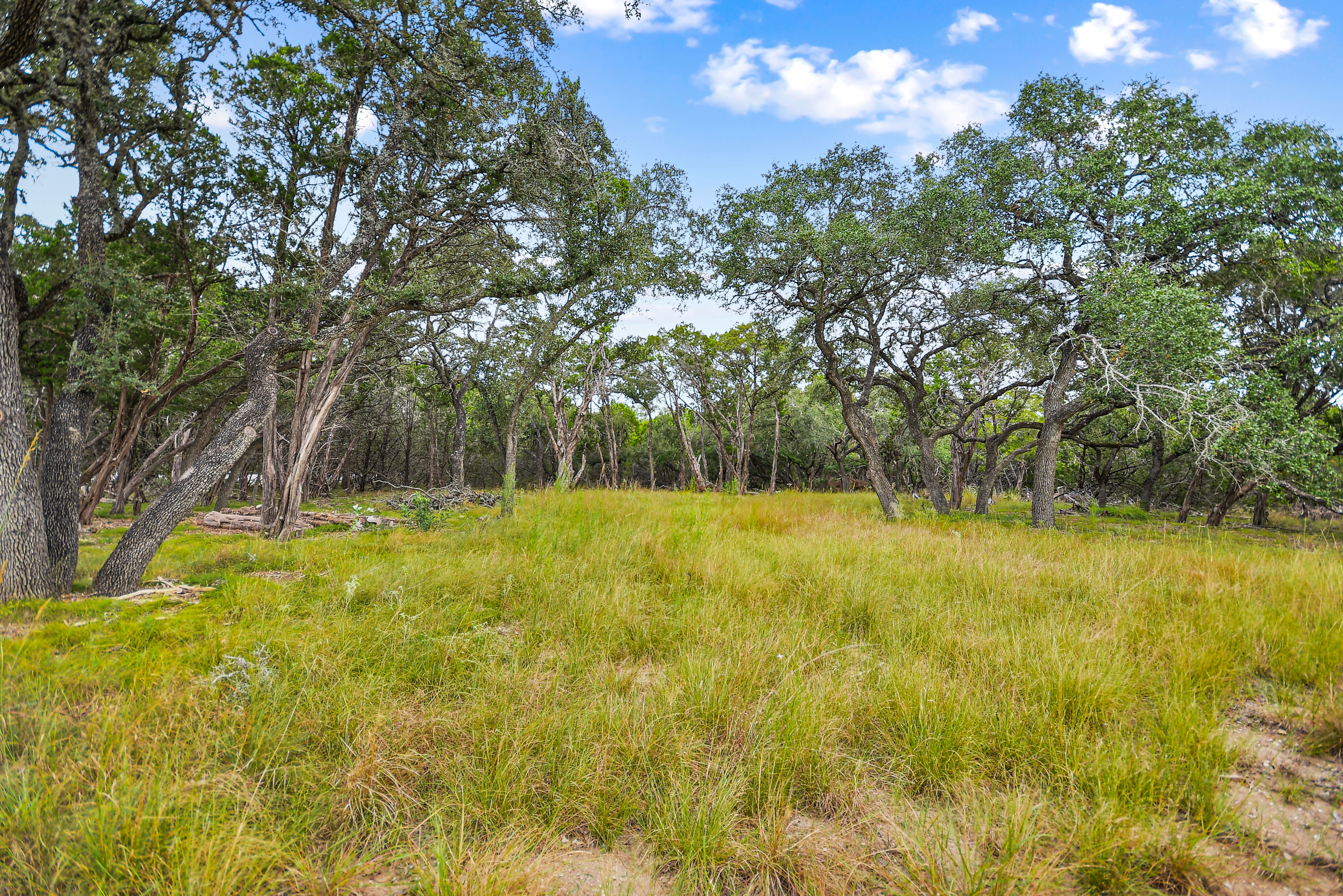  TBD Hwy 46 / Madrona Ranch Road, Pipe Creek, TX 78063 - 物件實景