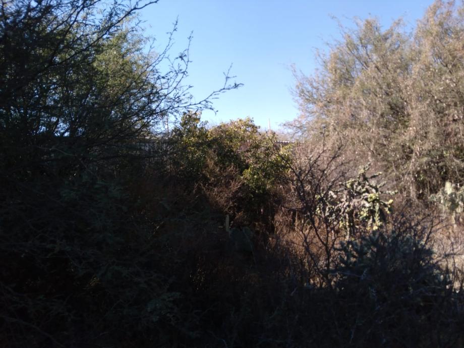 Emilio Zapata, Francisco I. Madero, Hidalgo, 42660, Mexico, 1 Bedroom Bedrooms, ,Residential,For Sale,Emilio Zapata,1672565