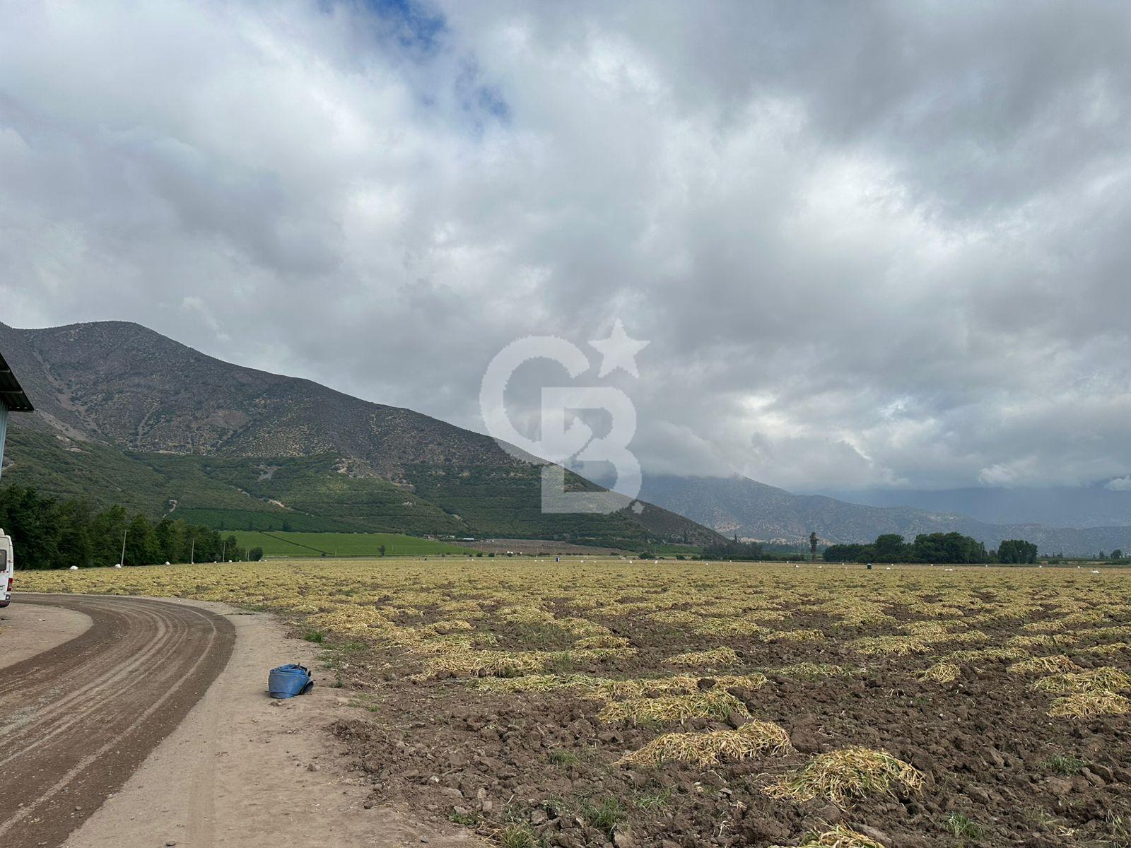 Catemu, Chile, ,Residential,For Sale,1991169